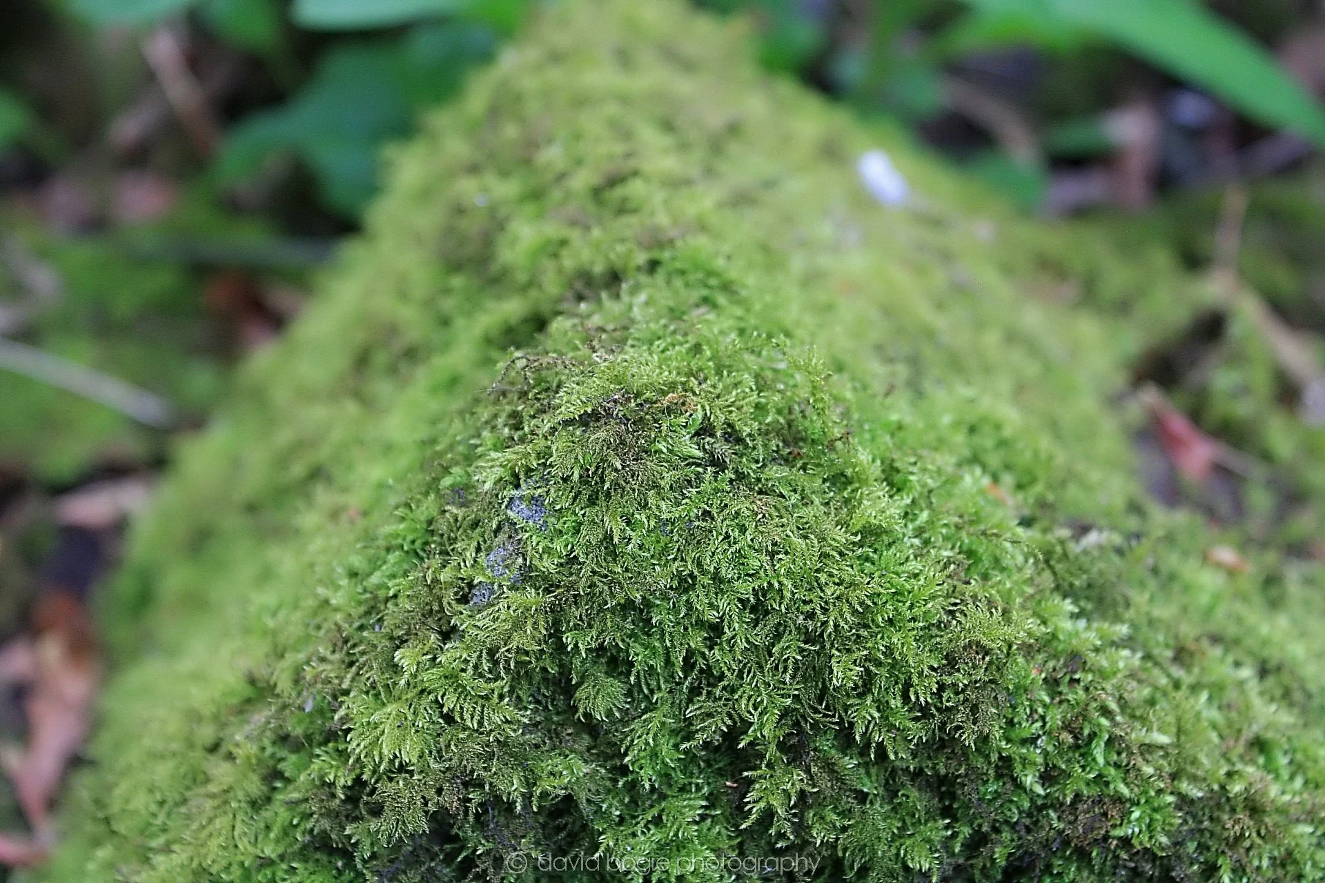 20190505 221424 Dunmore 0006  .jpg