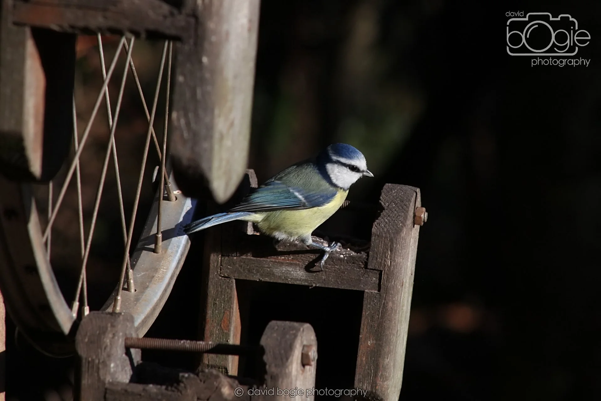 20251125 133828 Silverburn 0110.JPG