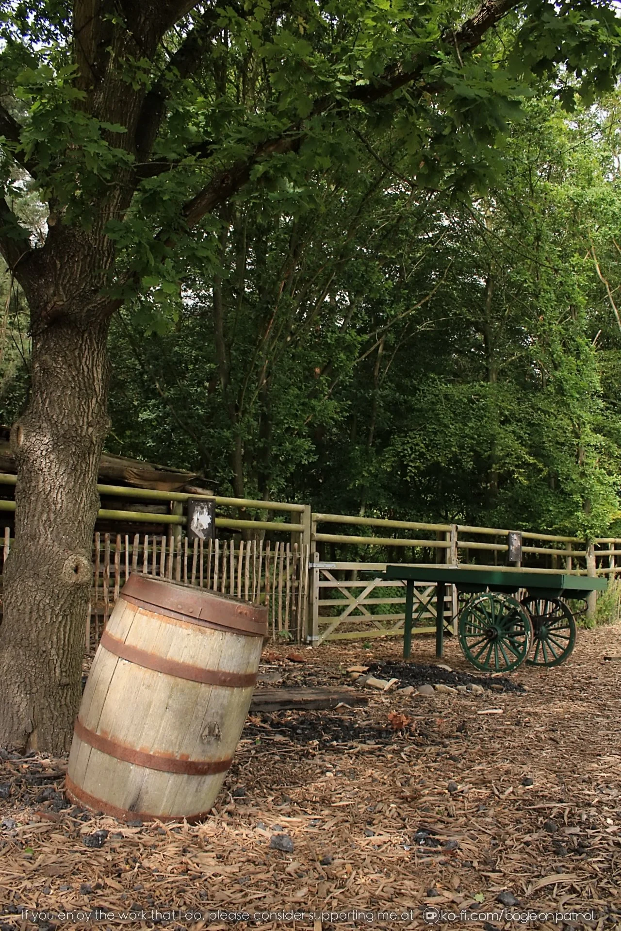 20190722 111631 Beamish .jpg