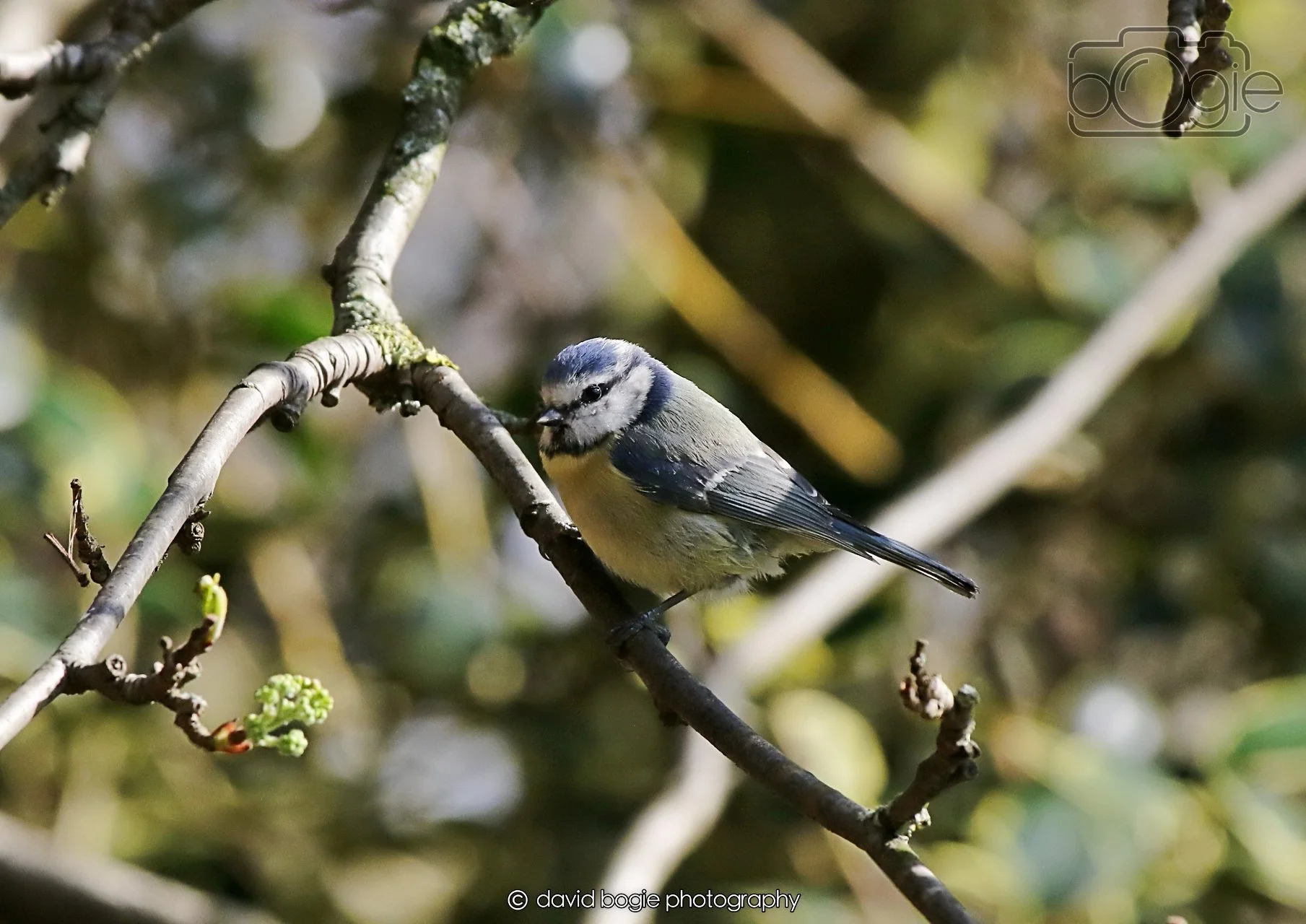 20260402 101808 Silverburn 0138.jpg