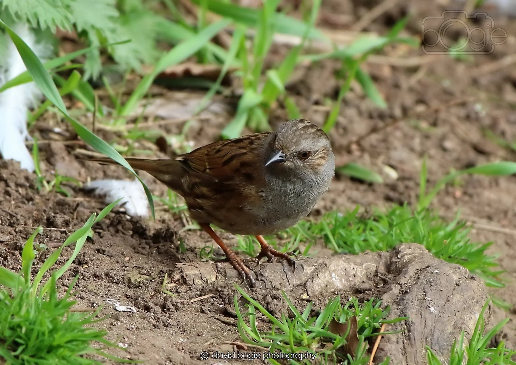 20260326 120118 Silverburn 0299.jpg