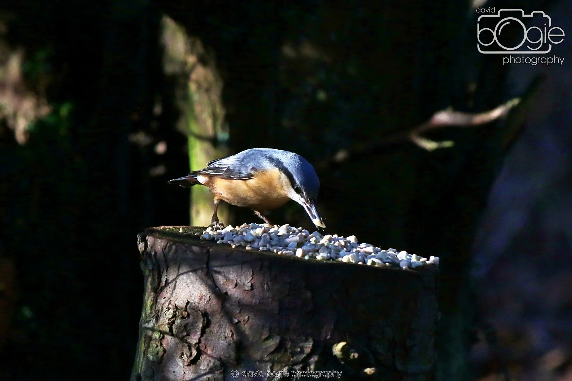 20260128 130002 Dunnikier 0111.JPG