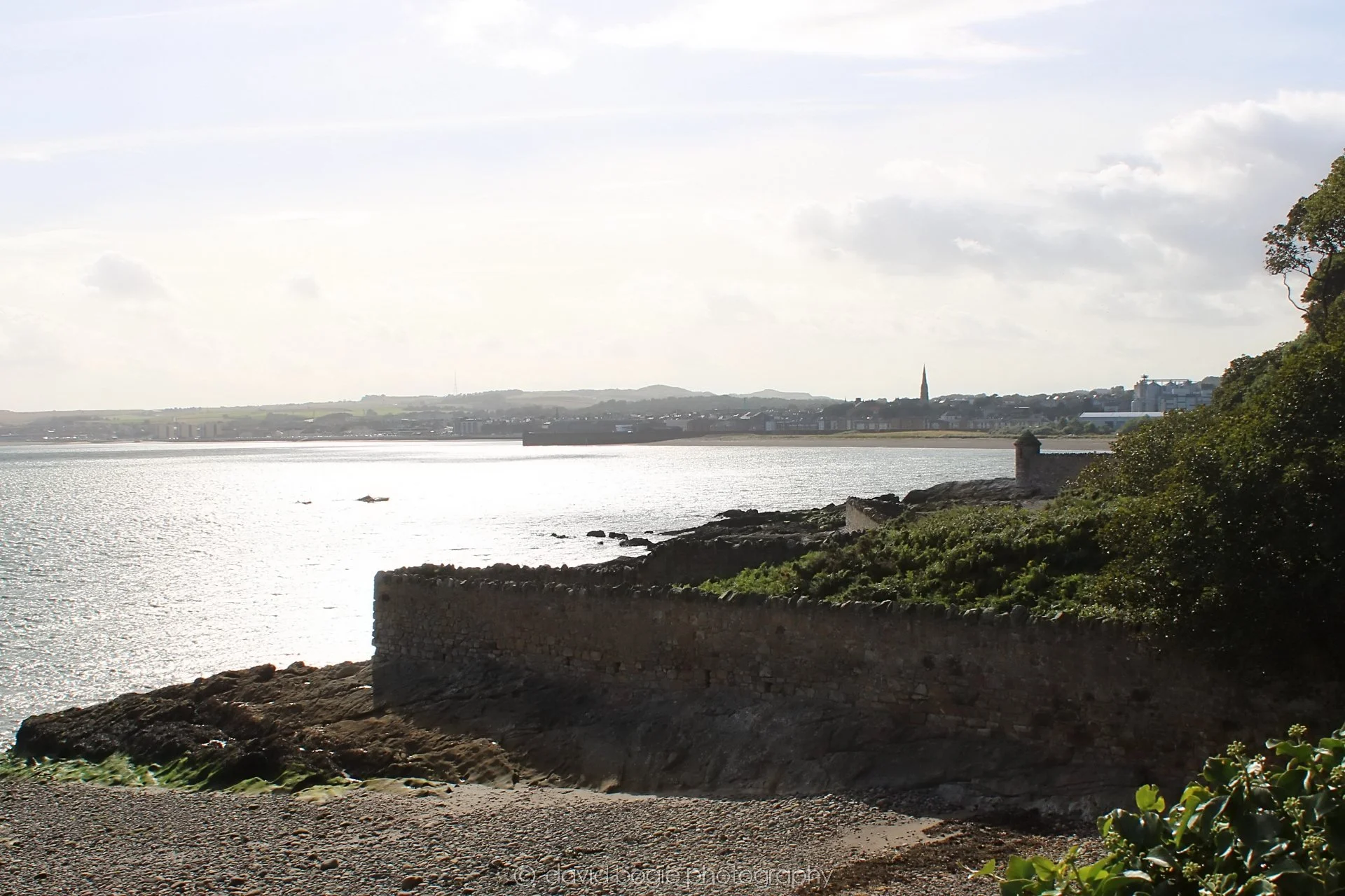 20190905 155051 Ravenscraig 0004.jpg