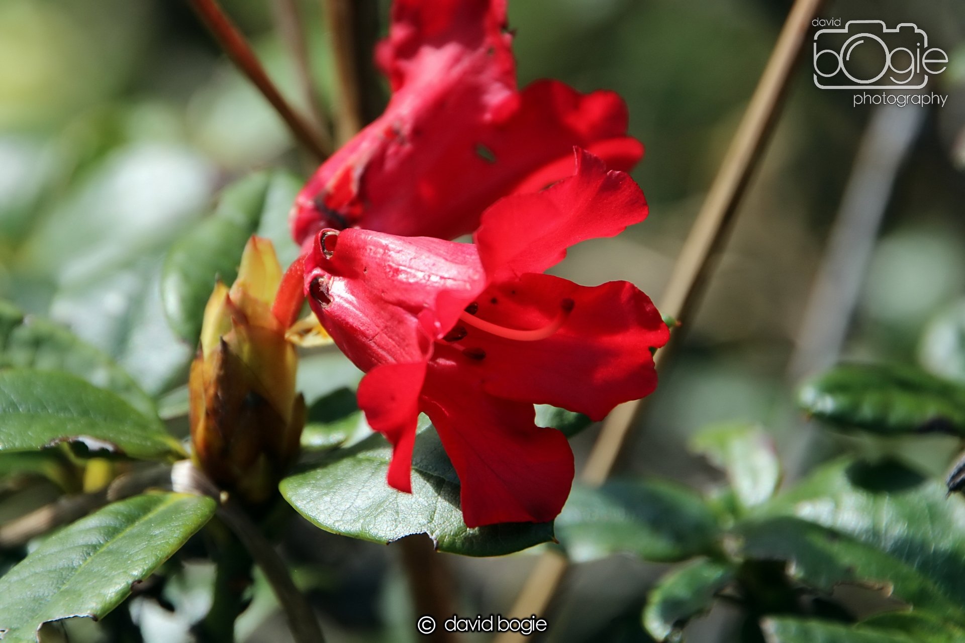 20240423 103915 Beveridge 0003.JPG