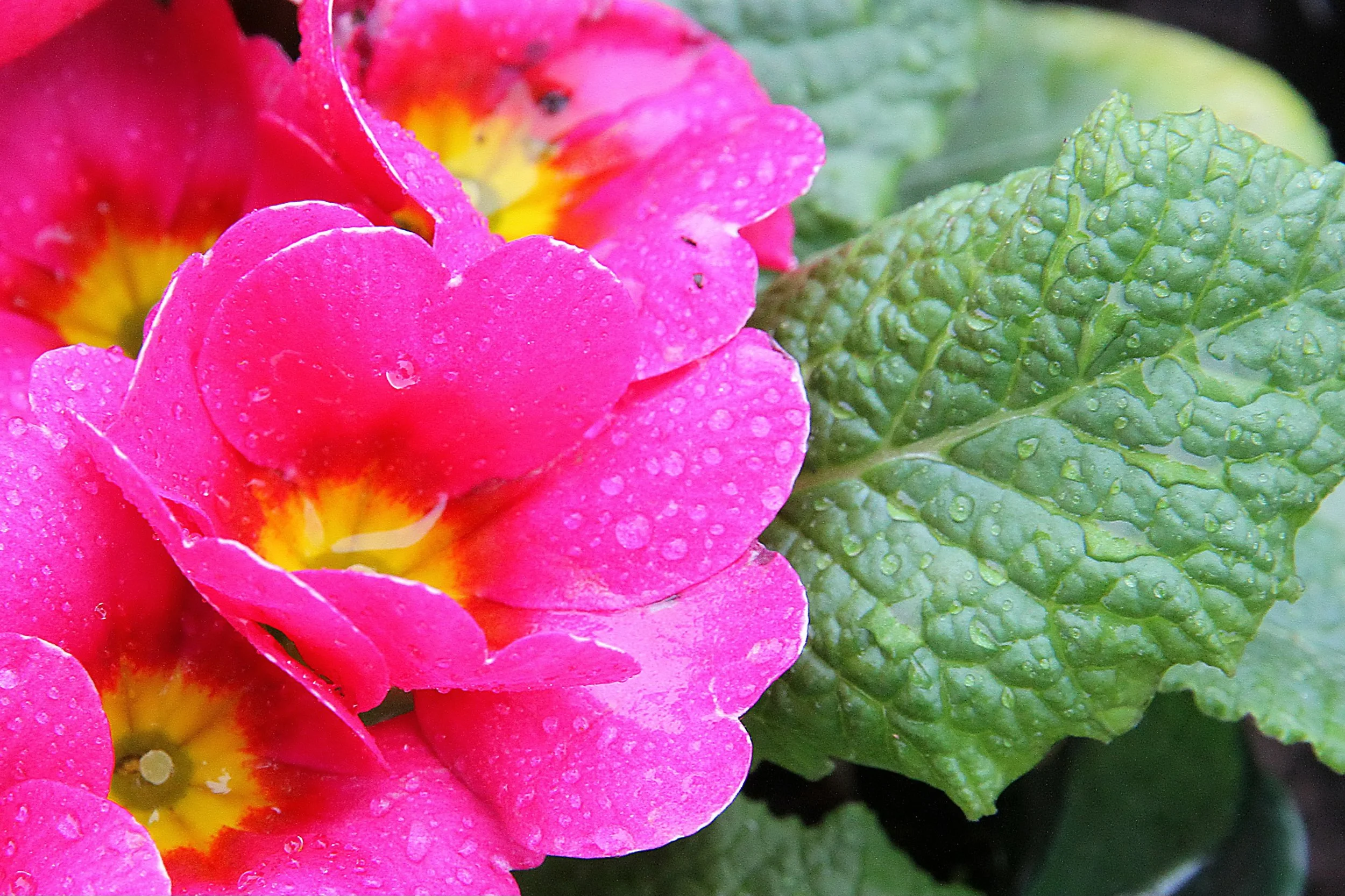 20260403 132450 Dunnikier Sensory Garden 0098.jpg