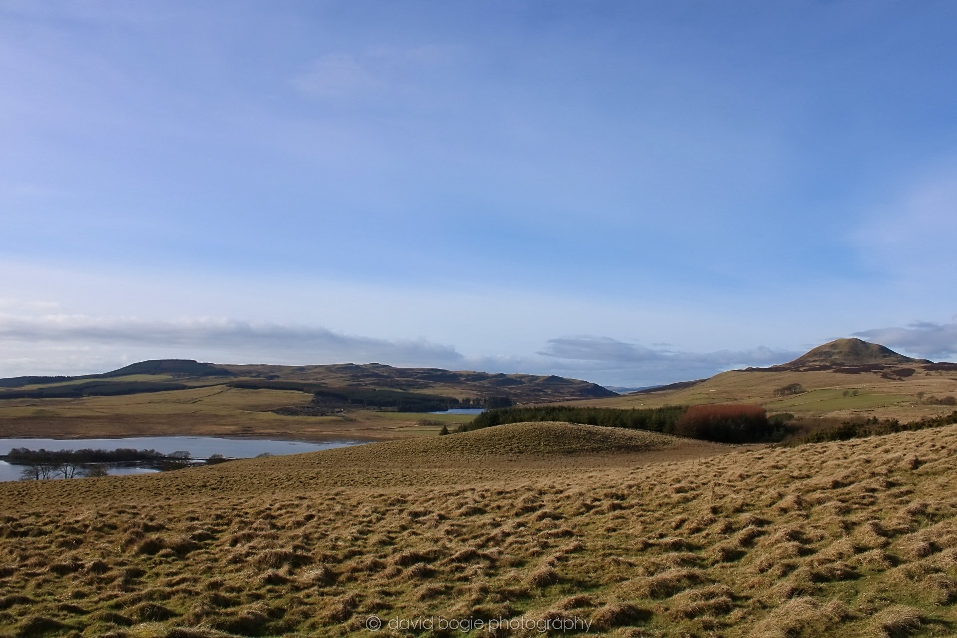 20190211 121109 Falkland 0012.jpg
