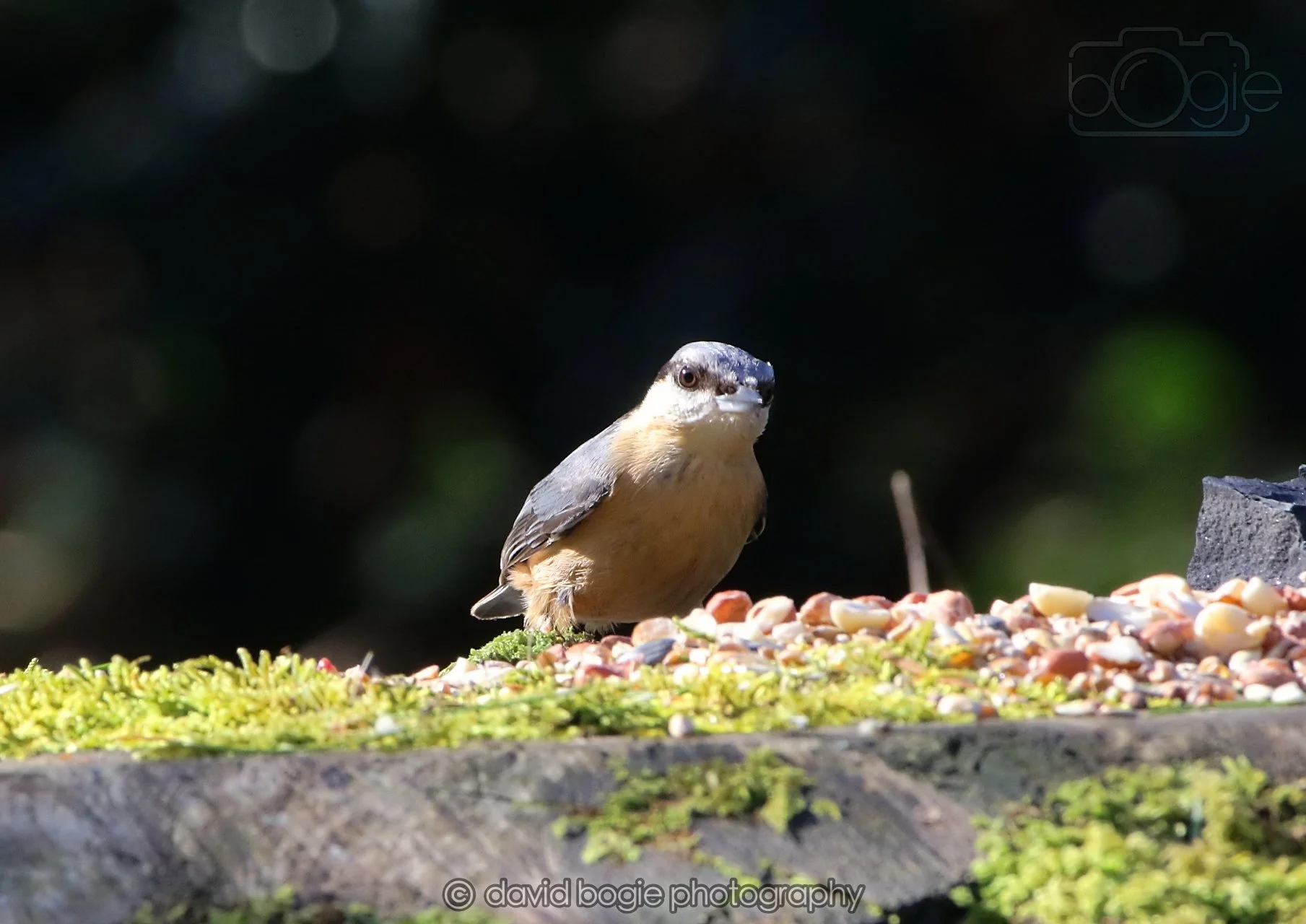 20260320 143350 Ravenscraig 0332.jpg