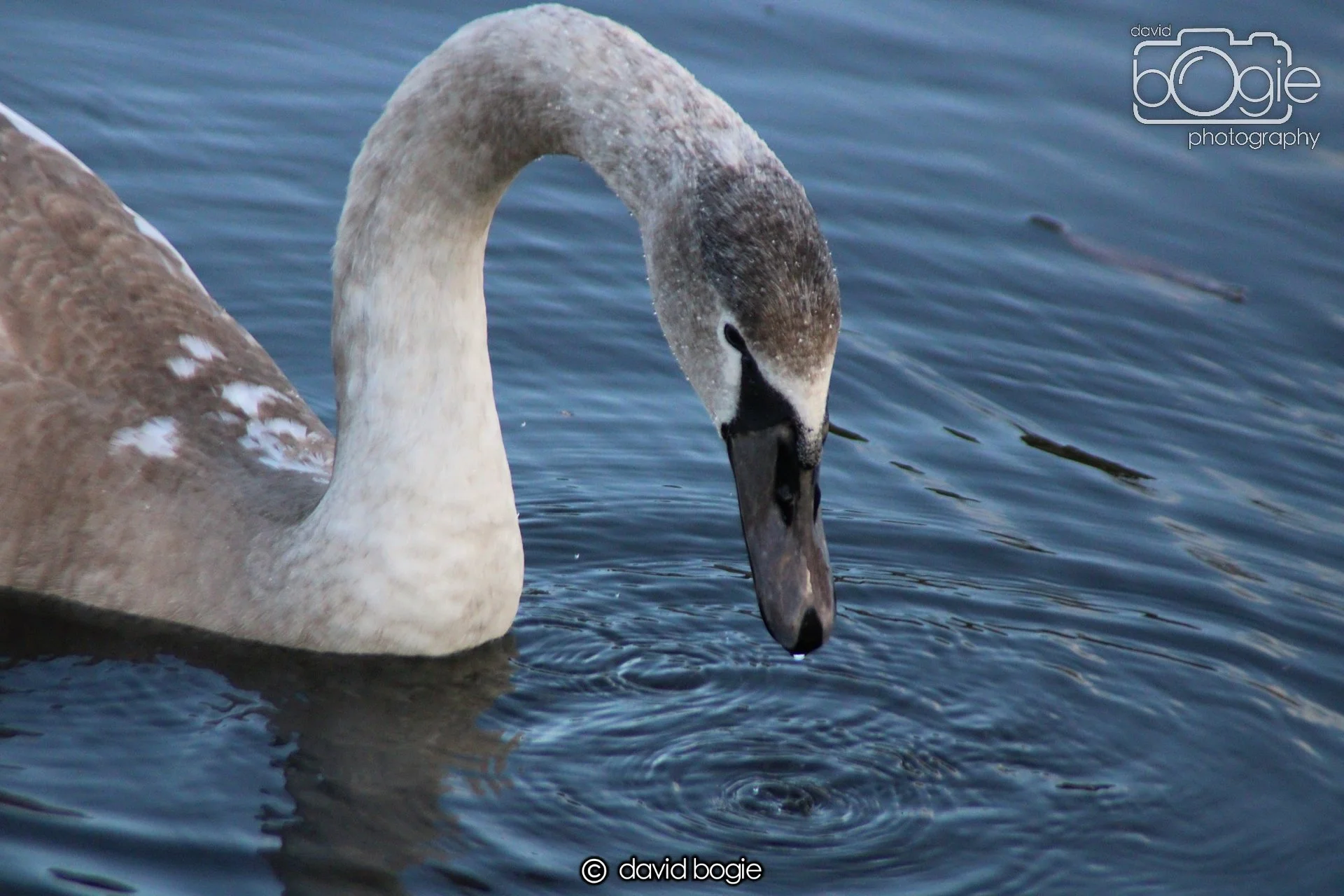 20220101 Beveridge Park 20 .JPG