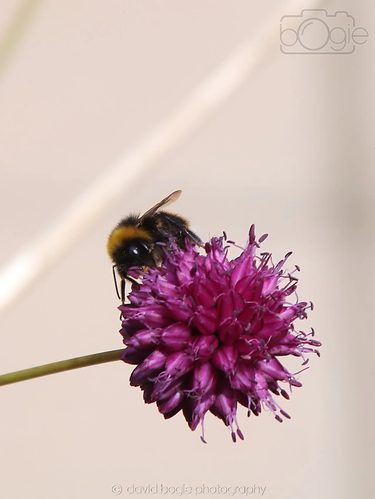 20240806 114414 Mum & Dad 0167.jpg
