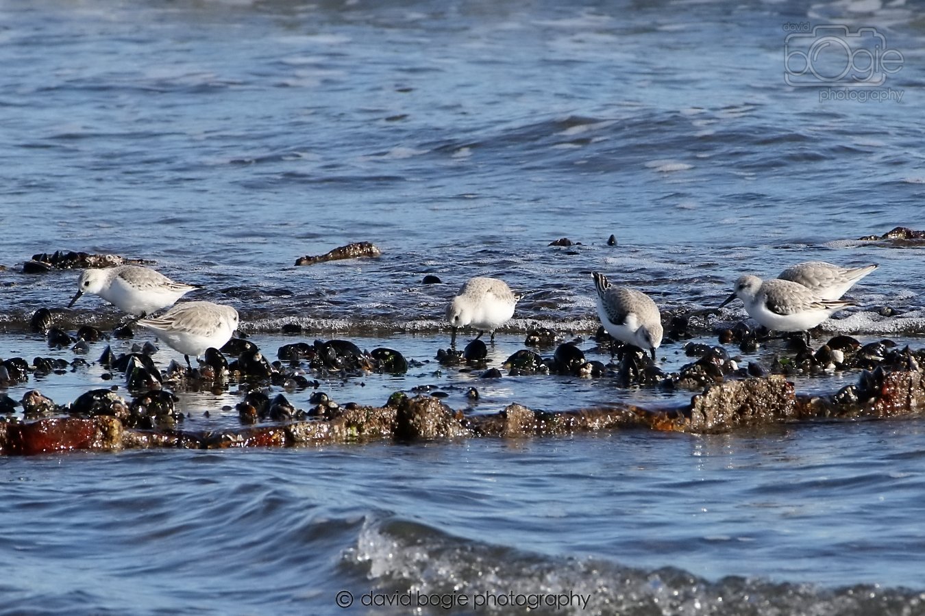 20260307 111041 Kirkcaldy 0036.jpg