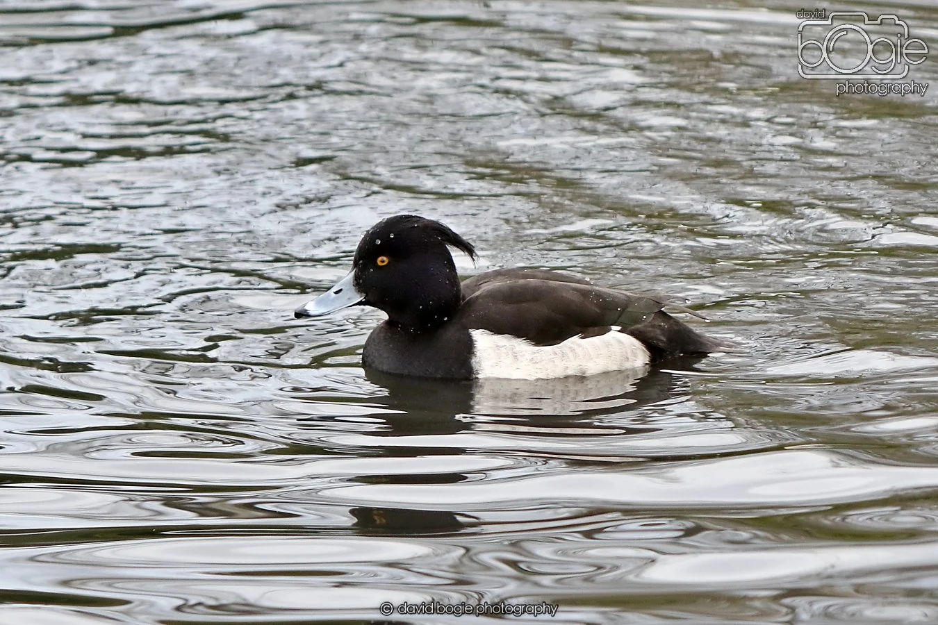 20260114 125256 Beveridge Park 0174.JPG