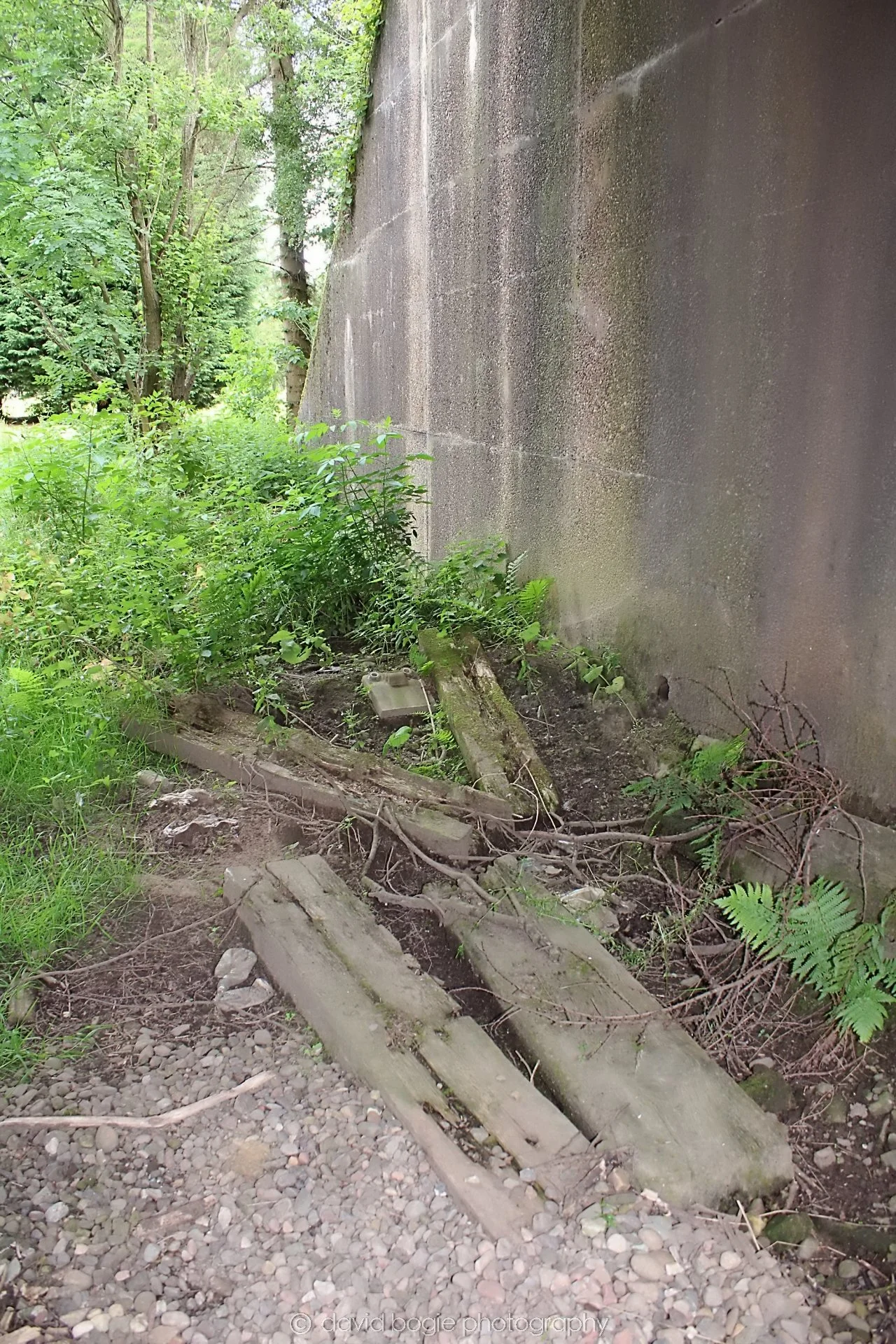 20200716 125959 Thornton 0125.jpg