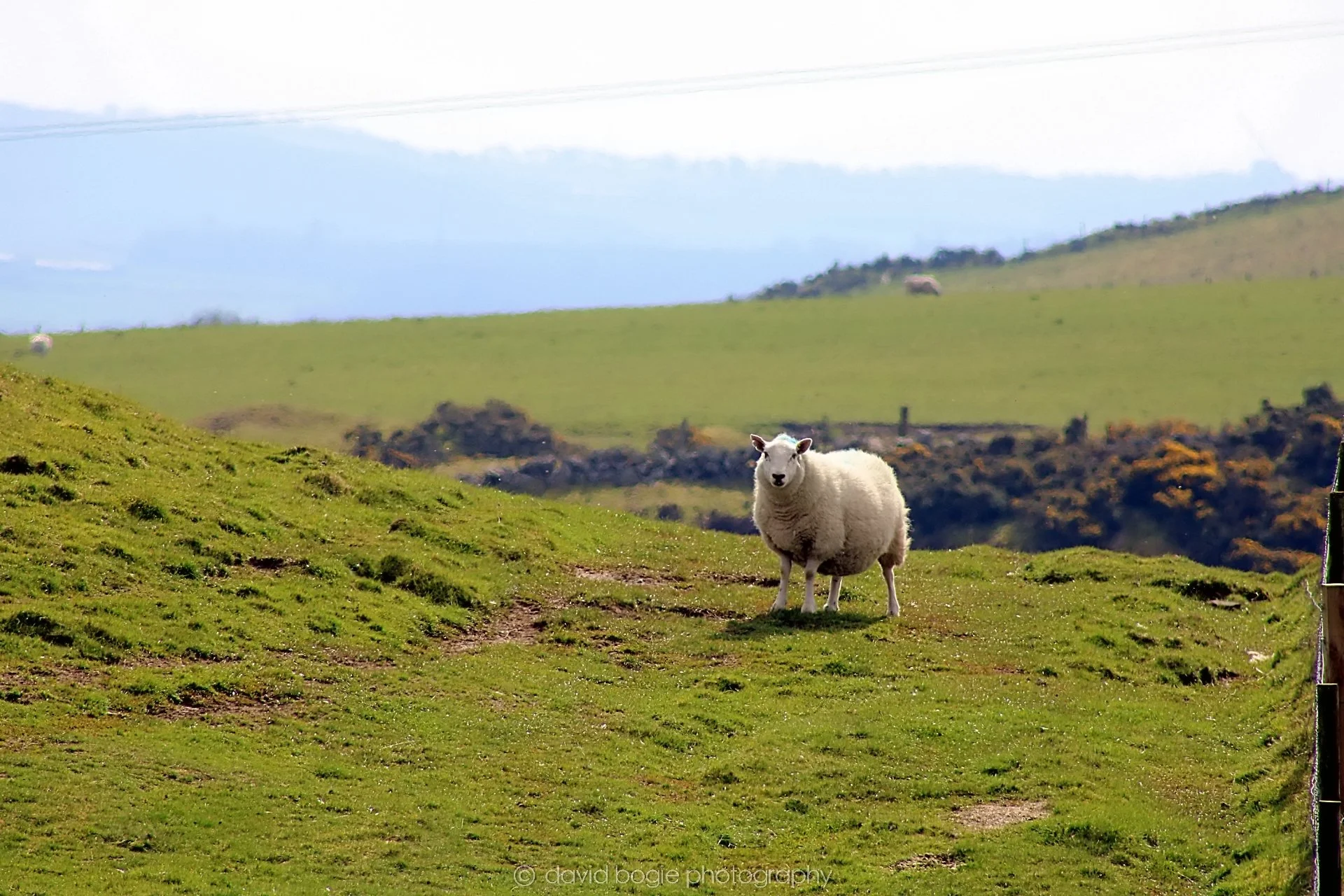 20190410 111710 Vane Farm 0013.jpg