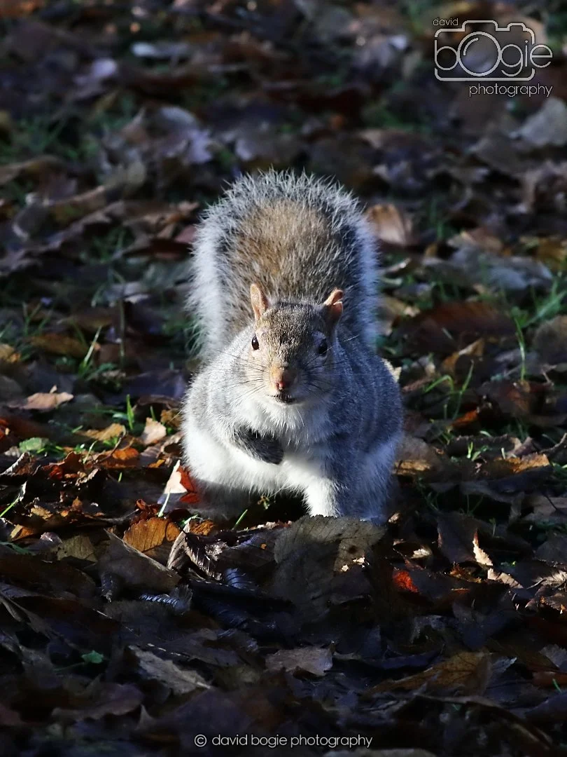 20251231 125702 Silverburn 0031.JPG