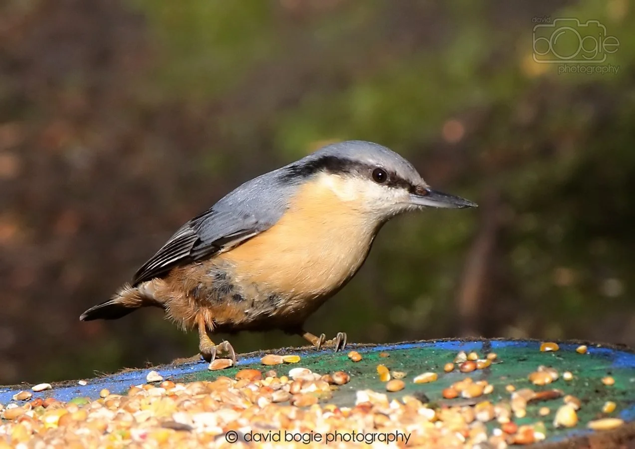 20260306 115441 Dunnikier 0336.jpg