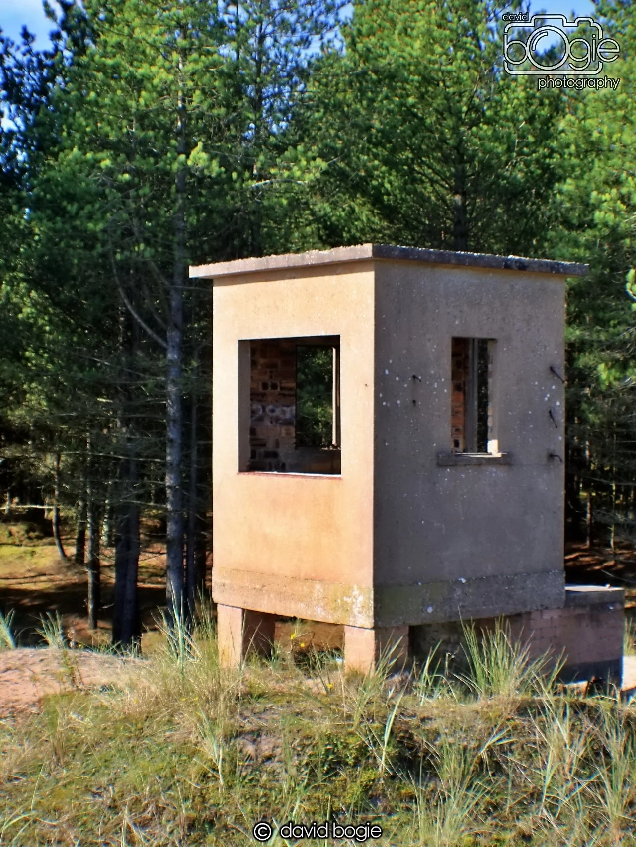 20191002 122243 Tentsmuir 0009.jpg