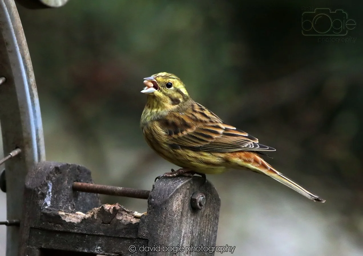 20260215 132633 Silverburn 0208.jpg