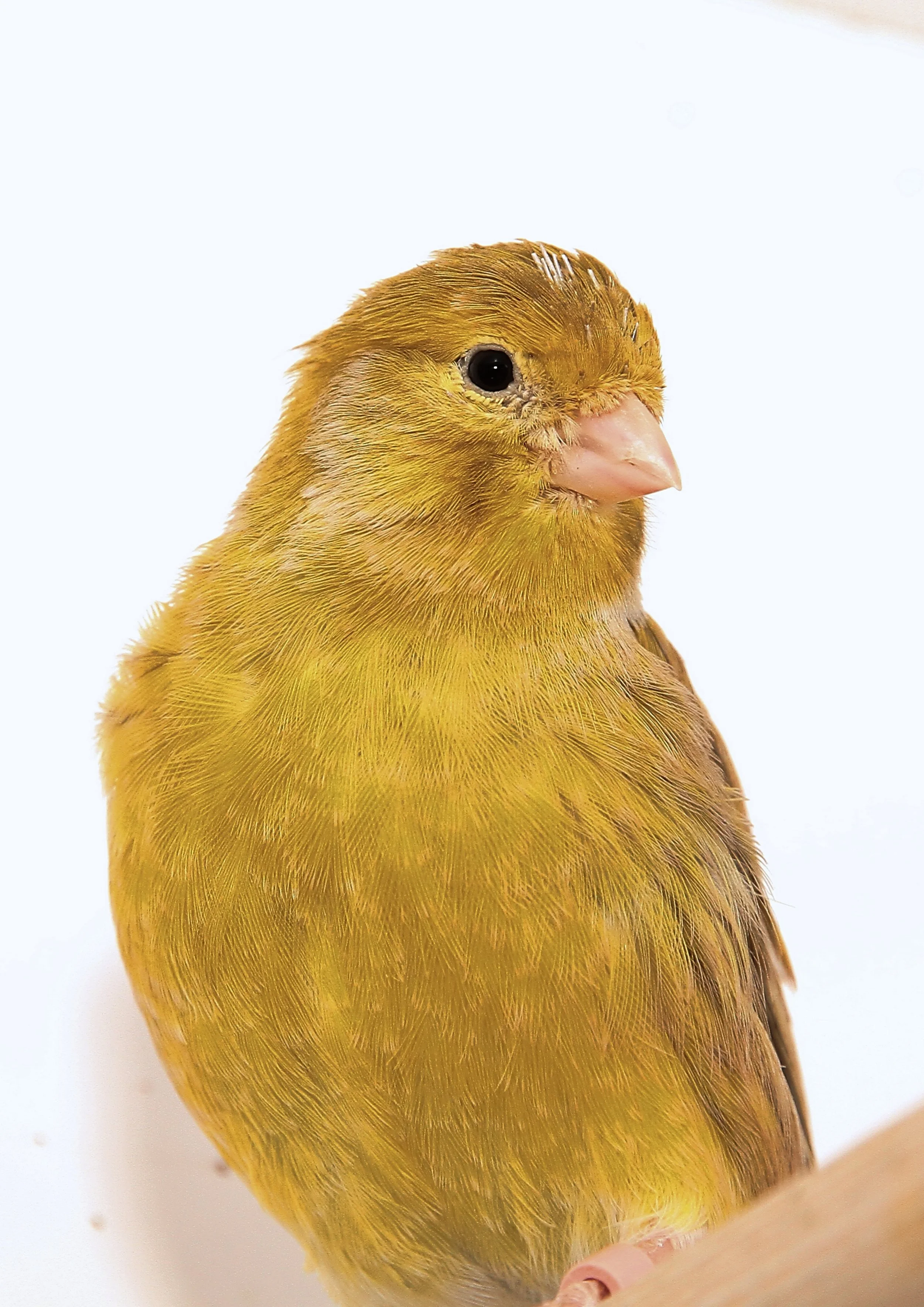 20260331 111637 K&S 0412.jpg