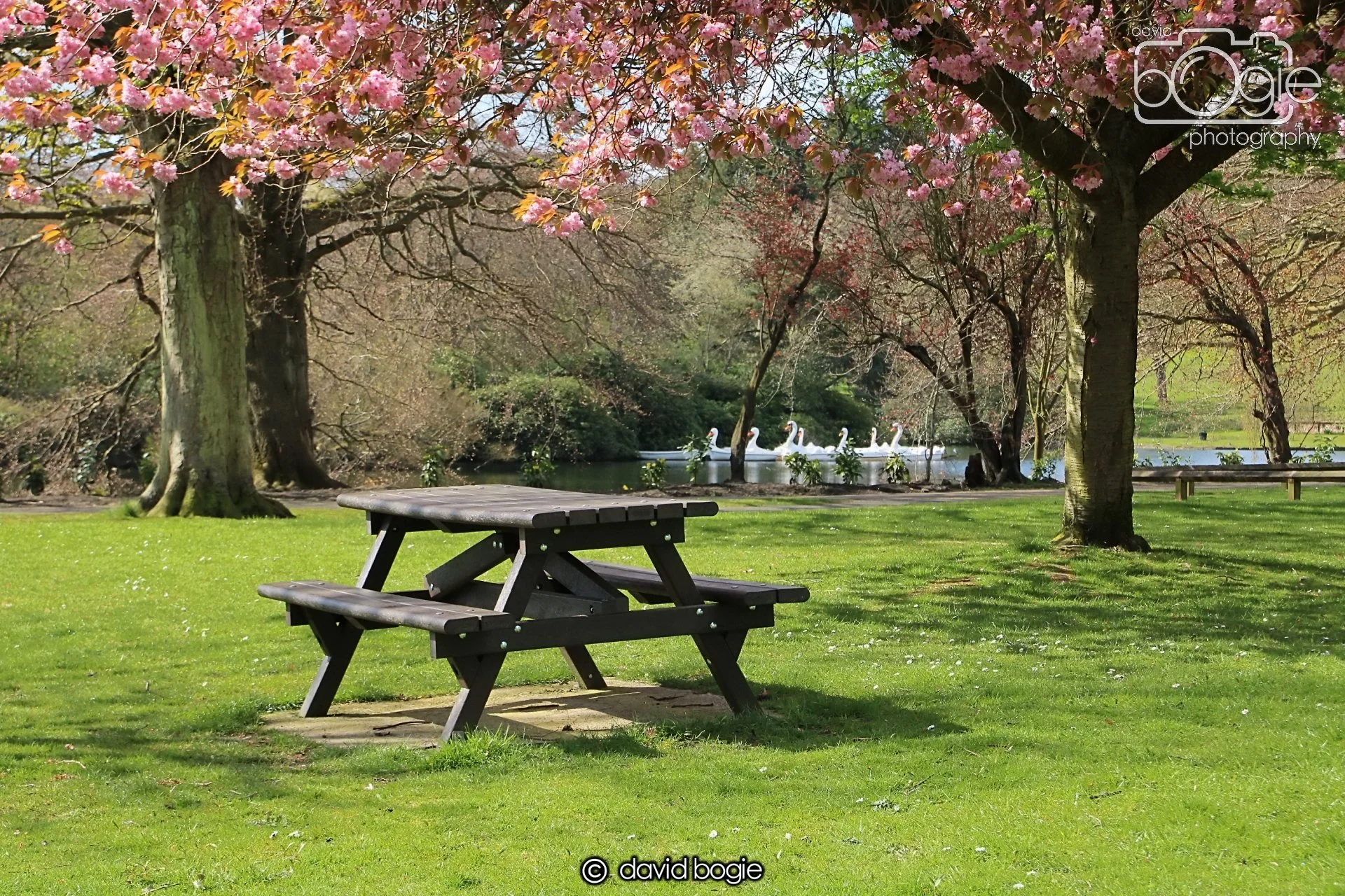 20240423 105414 Beveridge 0012.JPG