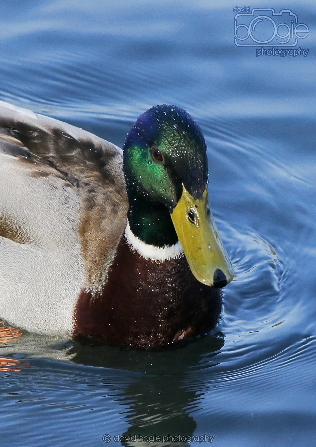 20260319 113739 Beveridge Park 0182.jpg