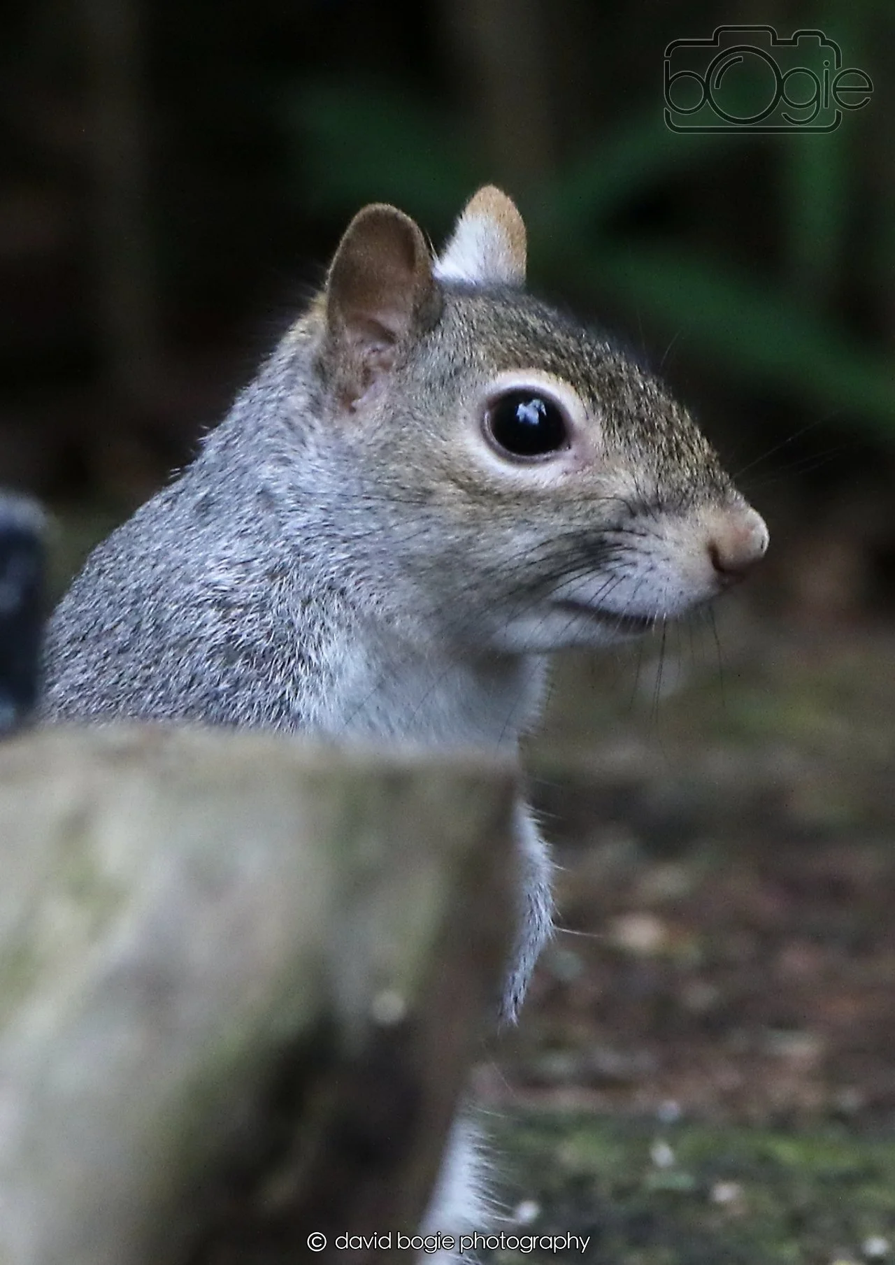 20260403 130448 Dunnikier 0350.jpg