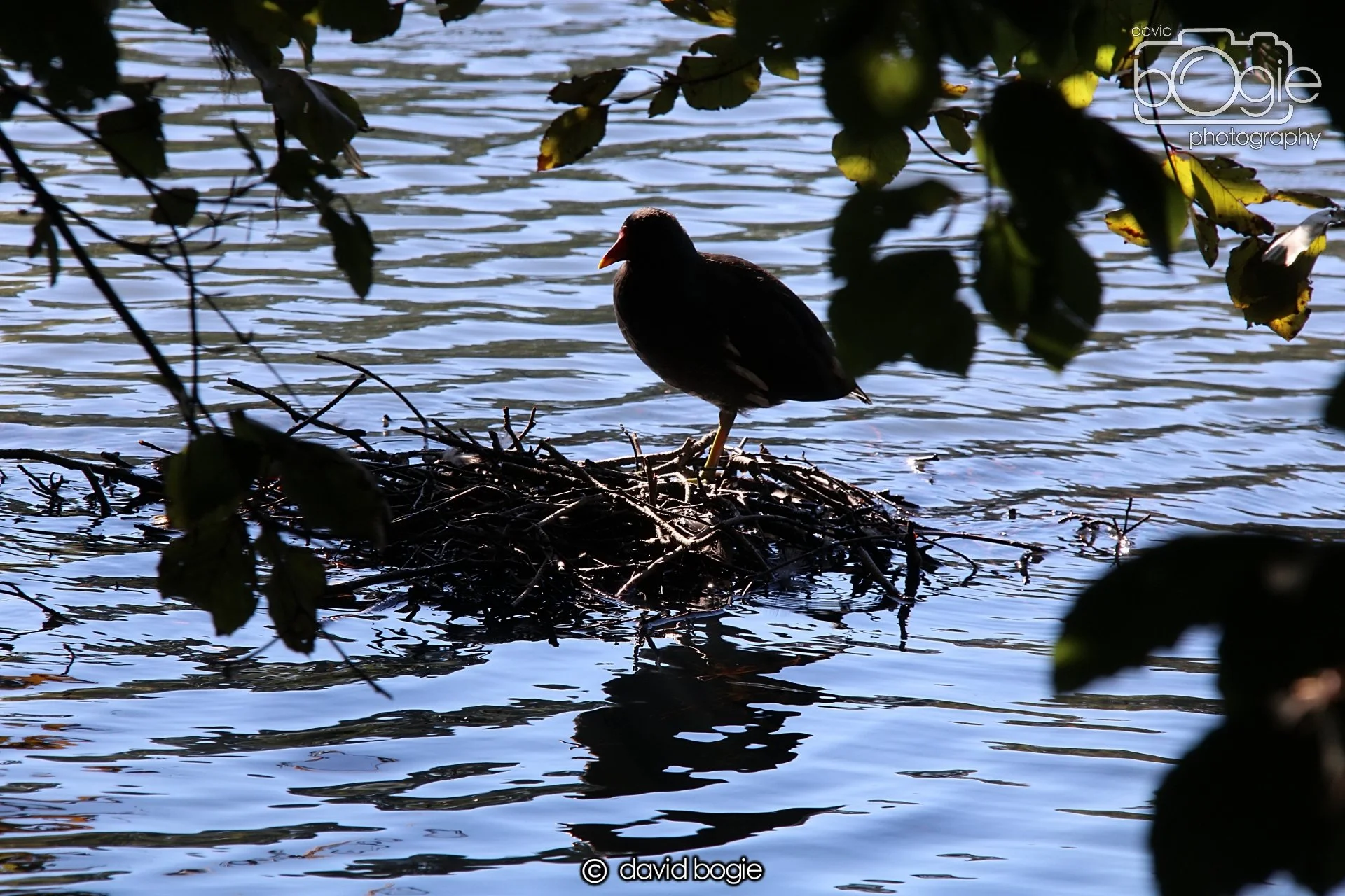 20240918 121225 Beveridge 0224.JPG