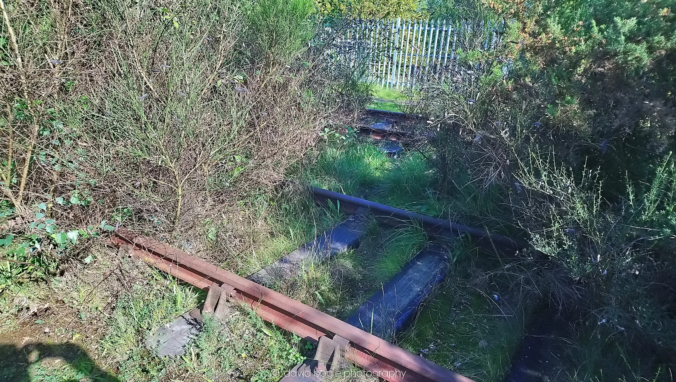 YEAR20180912 111646 Leven 0109.jpg