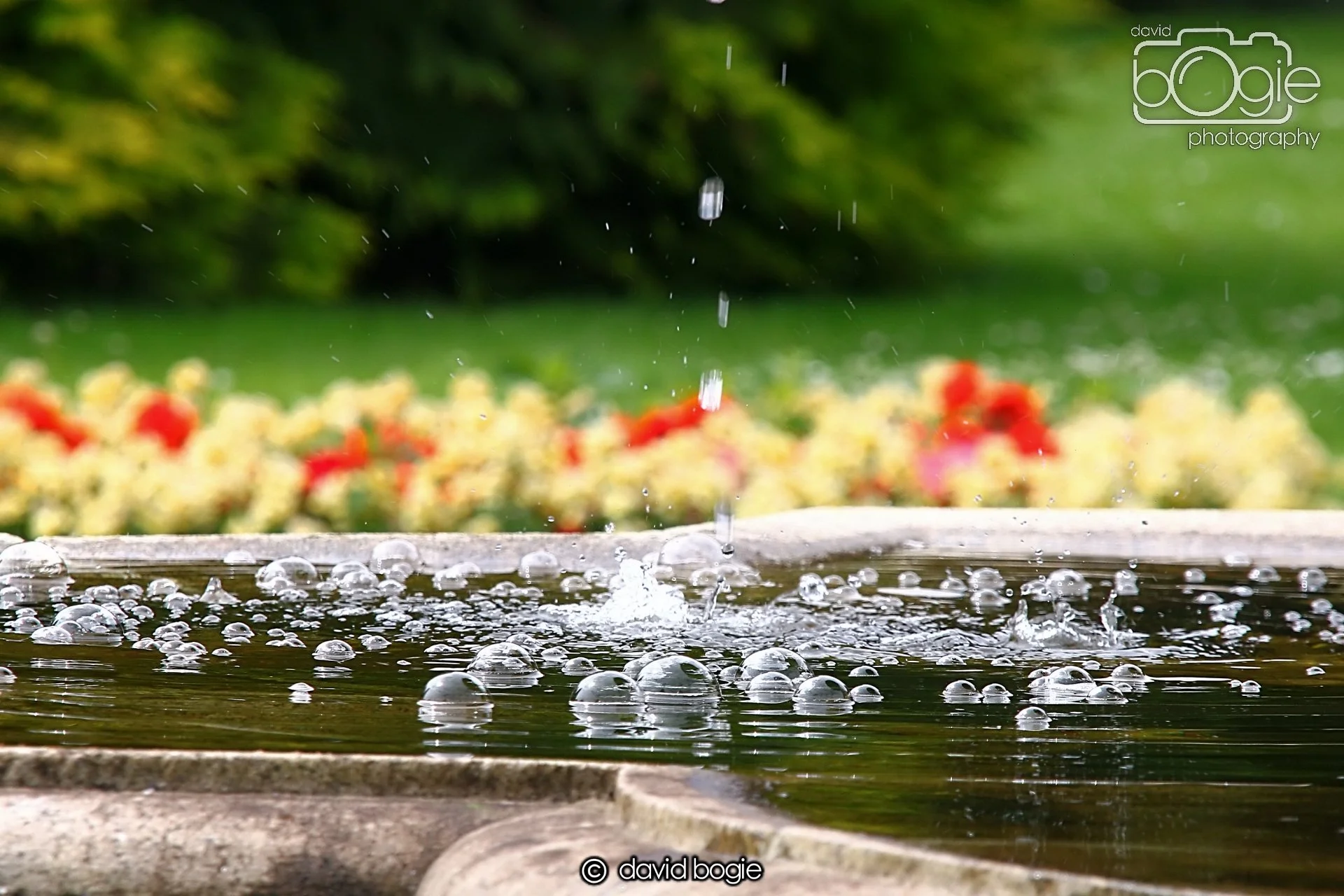 20240722 132647 Beveridge 0082.JPG