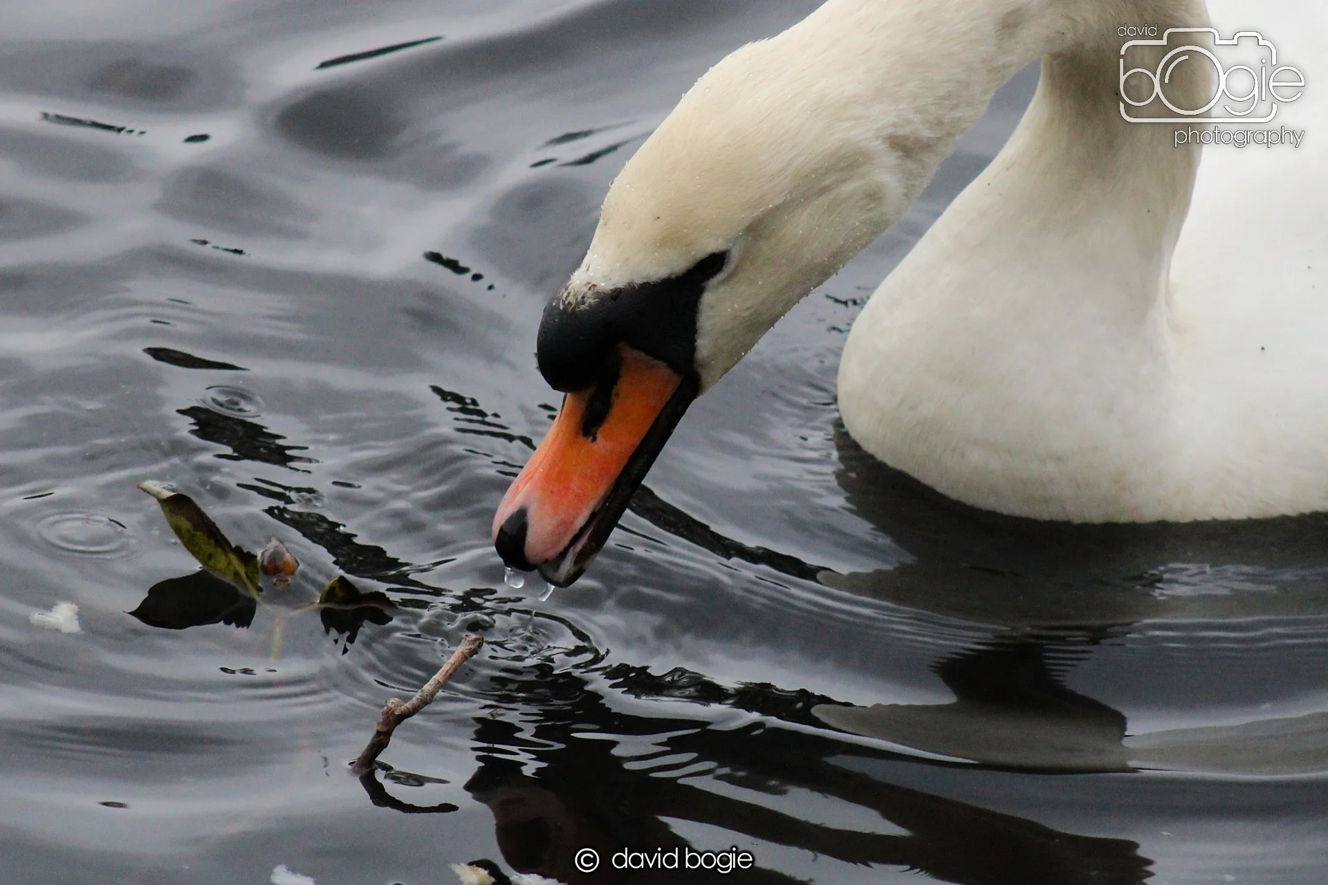 20210310 Beveridge (14) .jpg