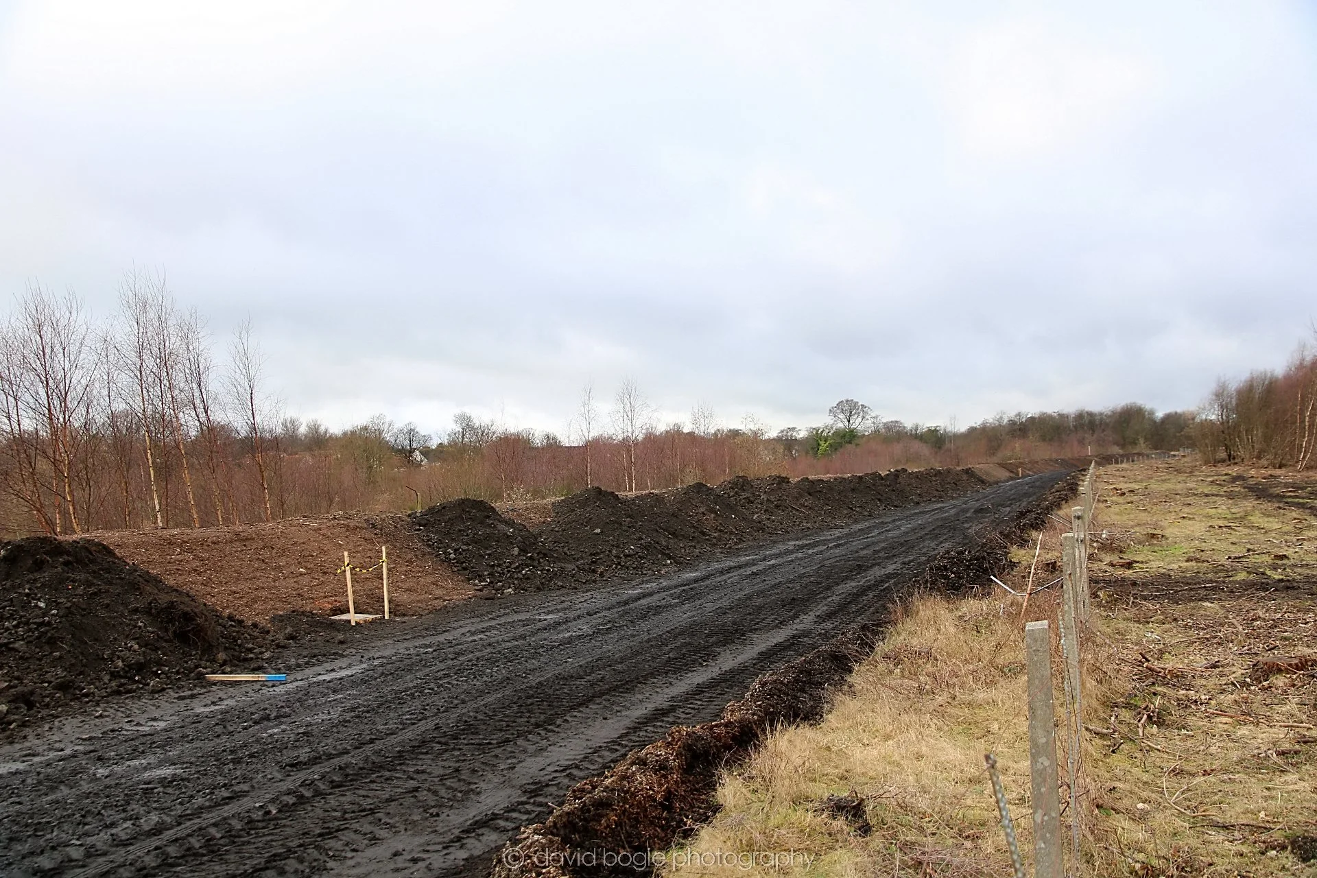 YEAR20220202 Levenmouth 00026.jpg