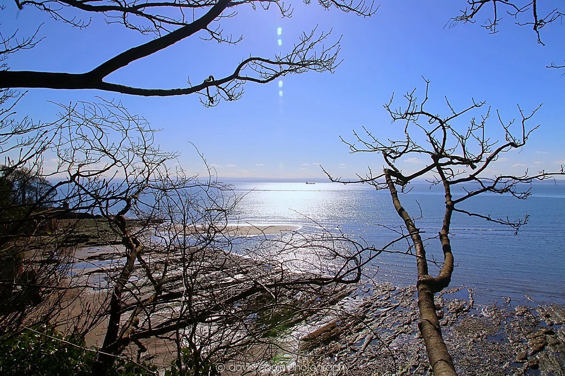 YEAR20230327 Kirkcaldy IMG_0004.jpg