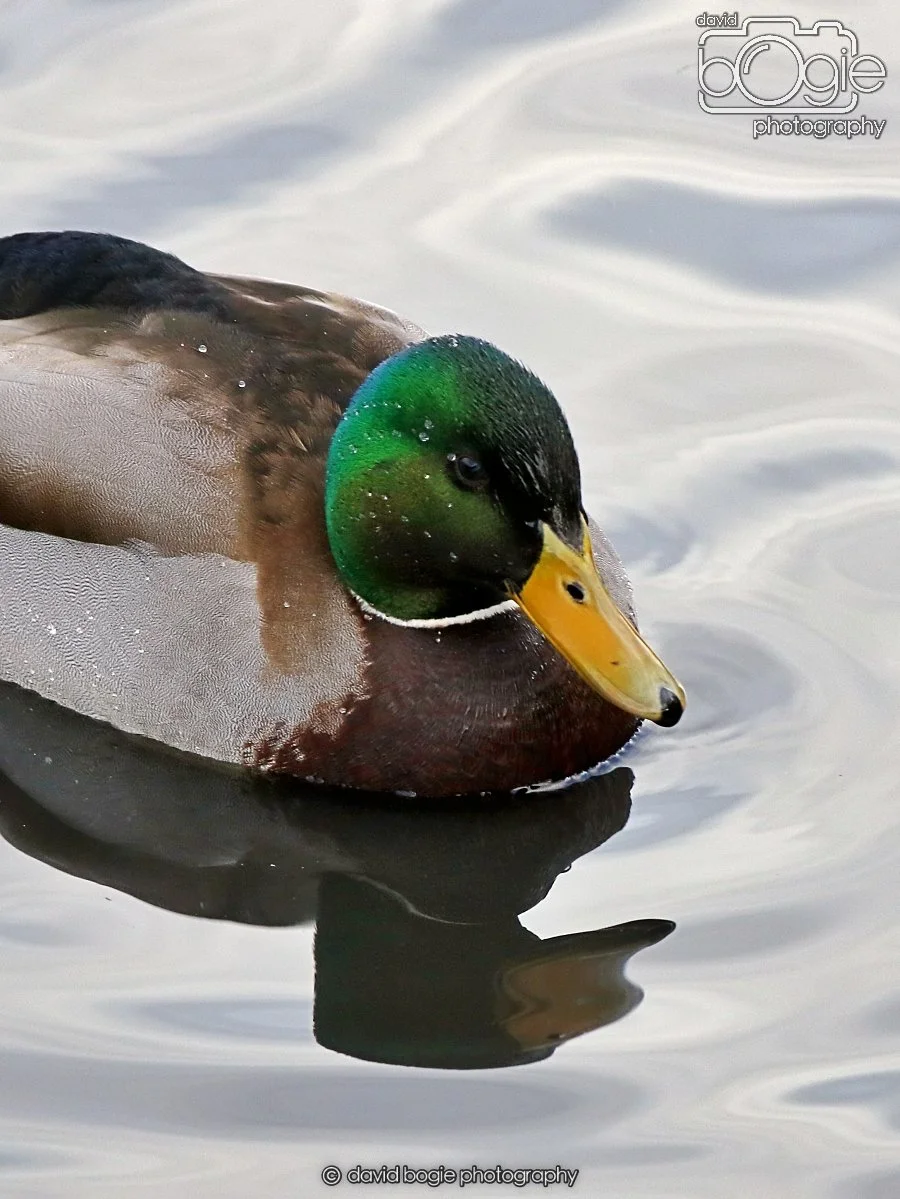 20260114 124600 Beveridge Park 0117.JPG