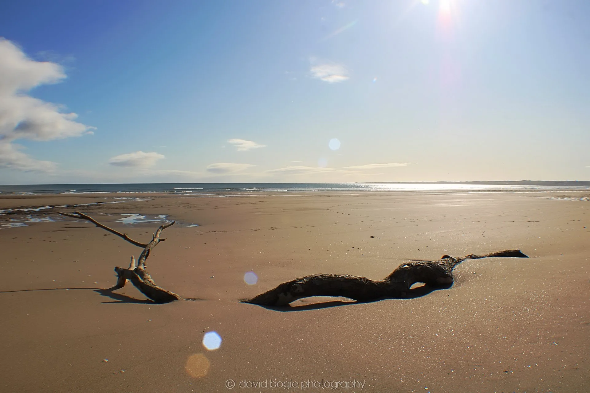 20191002 112405 Tentsmuir 0002.jpg