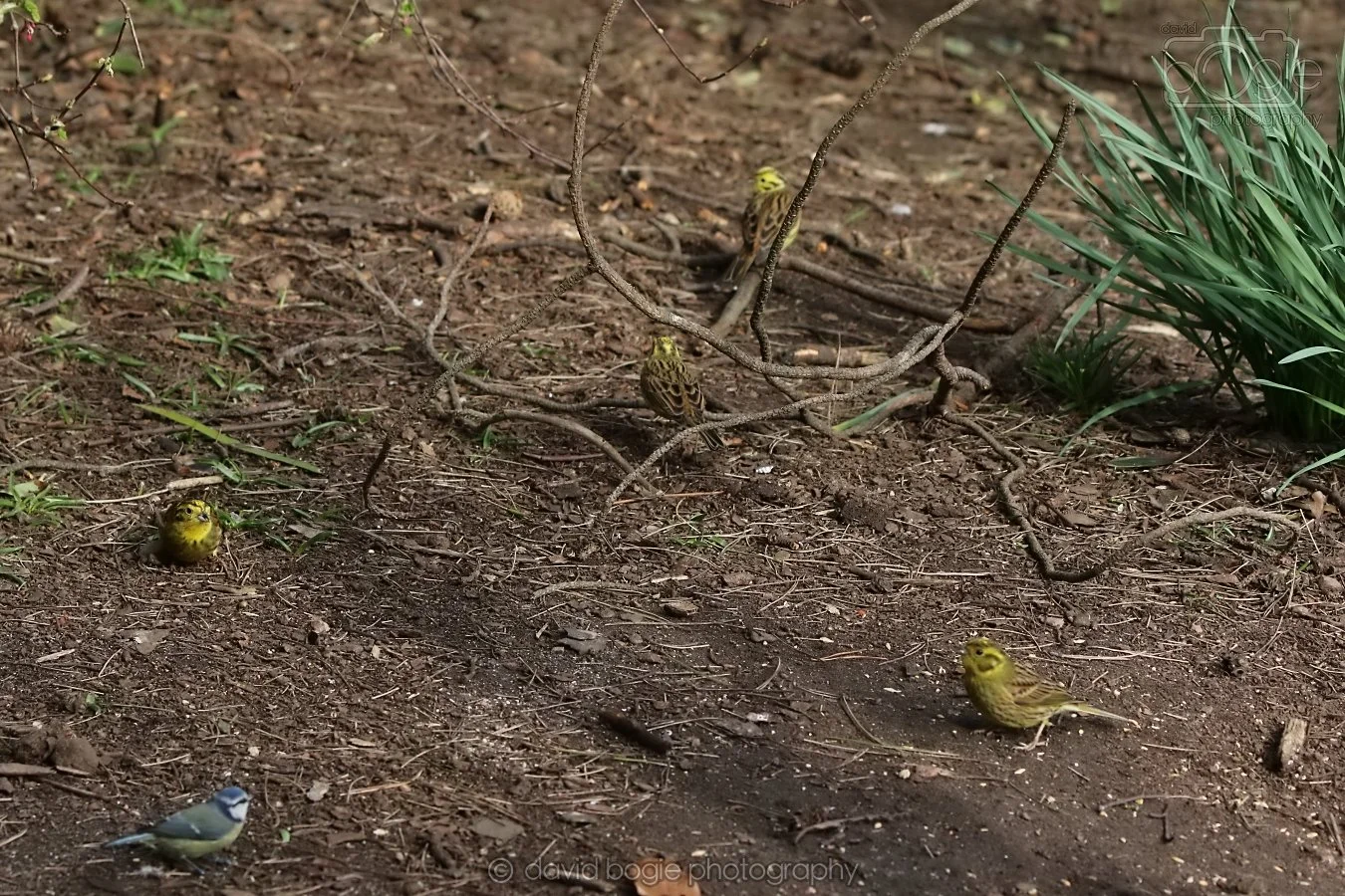 20260314 143944 Silverburn 0332.jpg