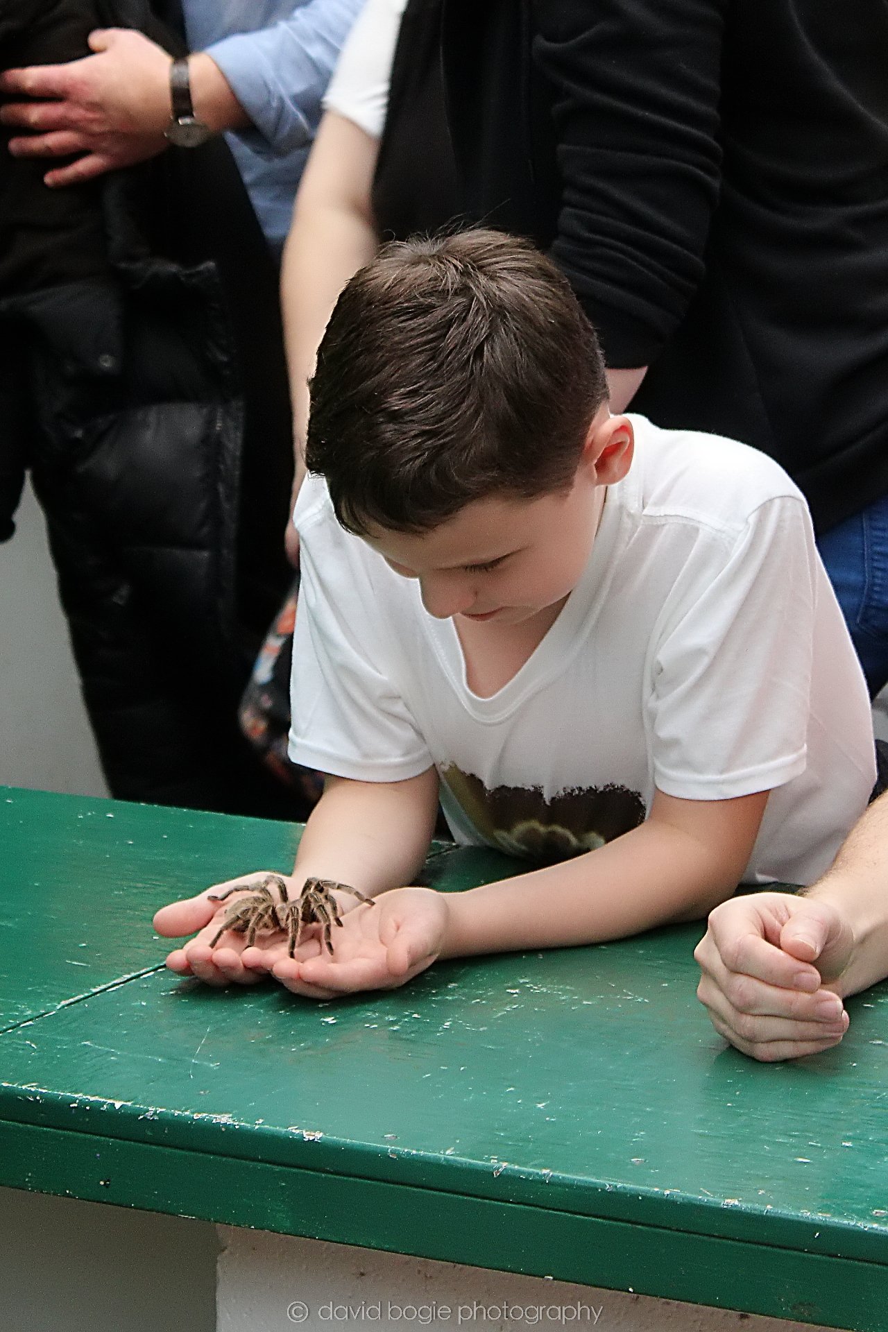 20191019 122618 Butterfly World 0011.jpg