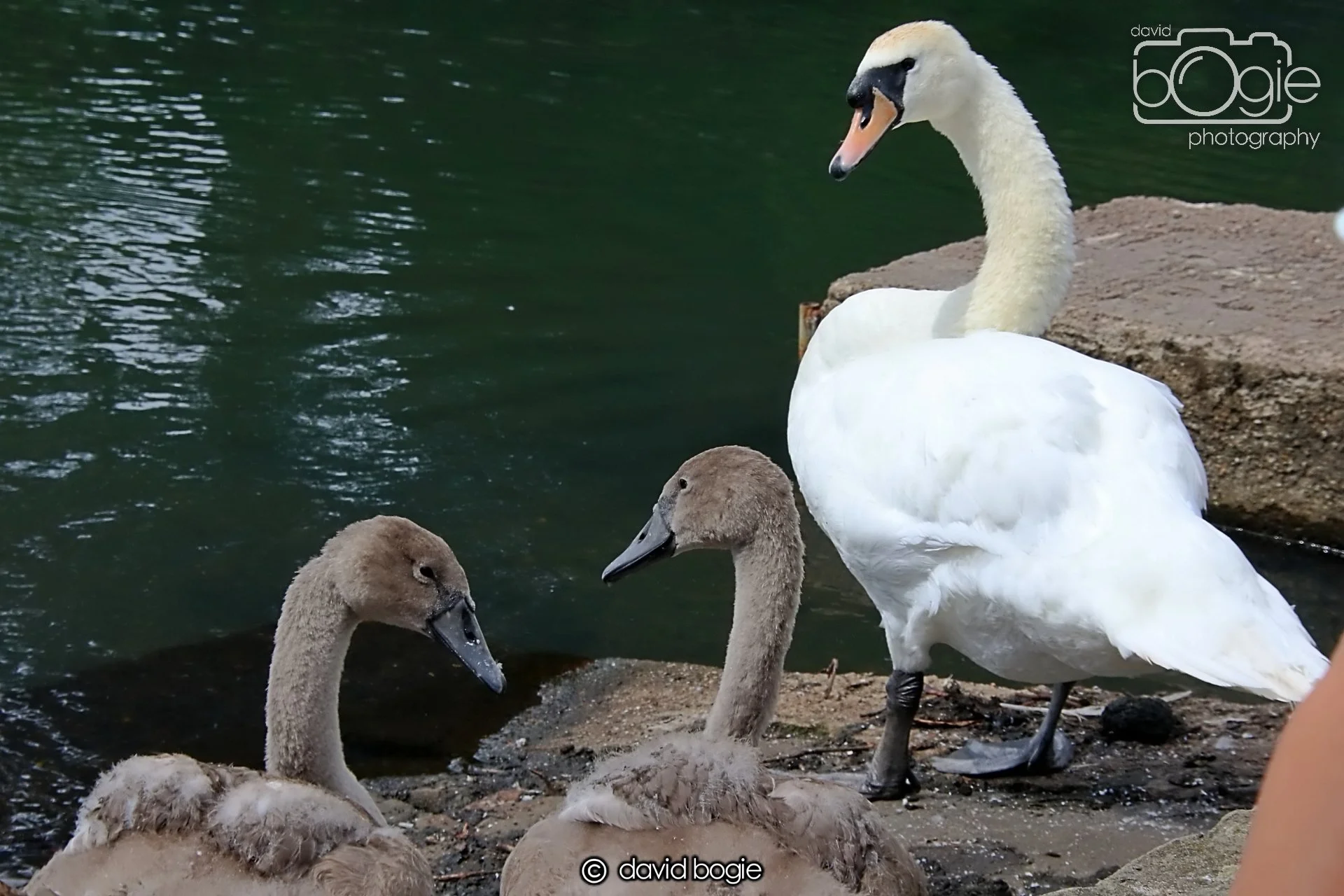 20250721 124606 Beveridge Park 0277.JPG