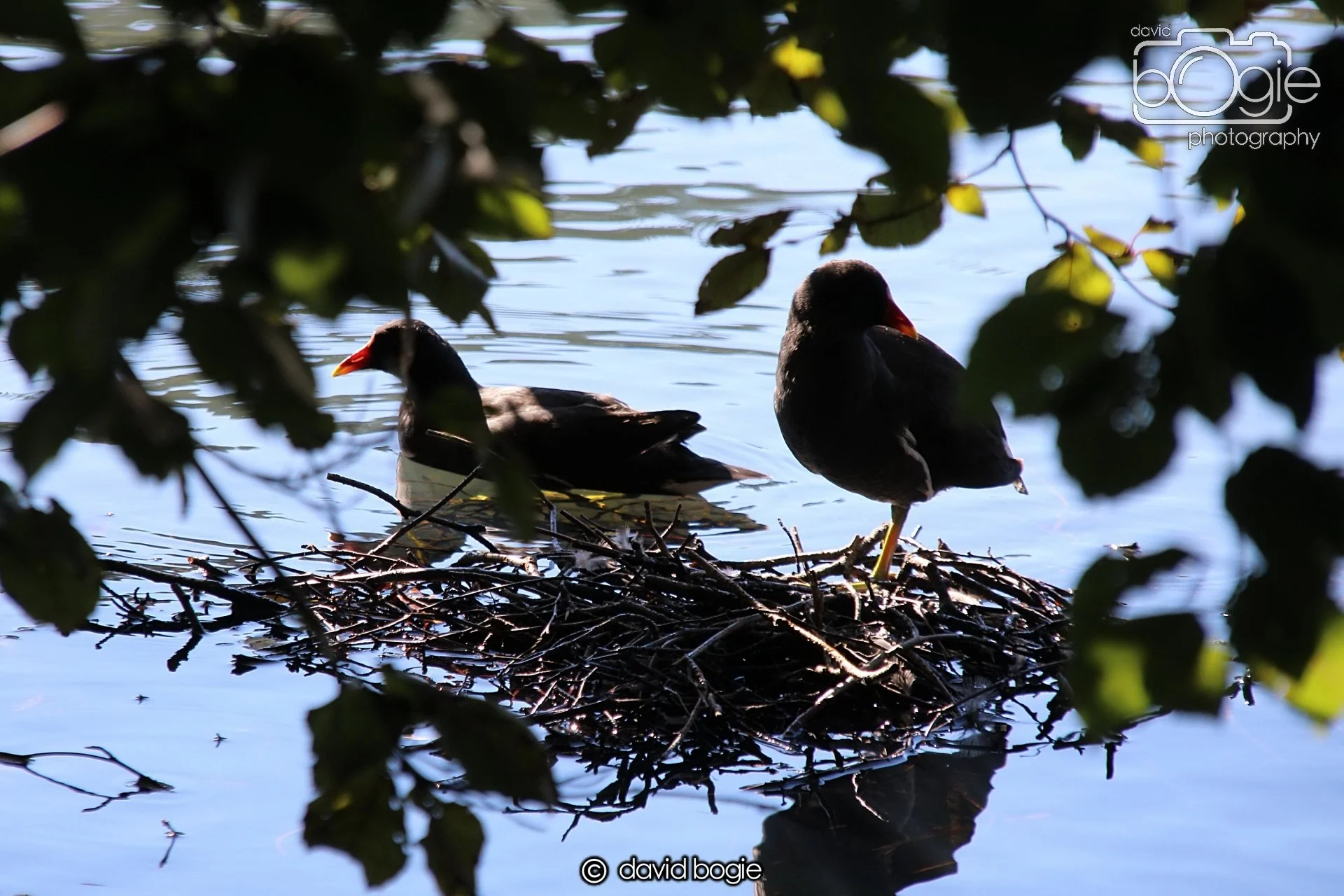 20240918 120229 Beveridge 0193.JPG