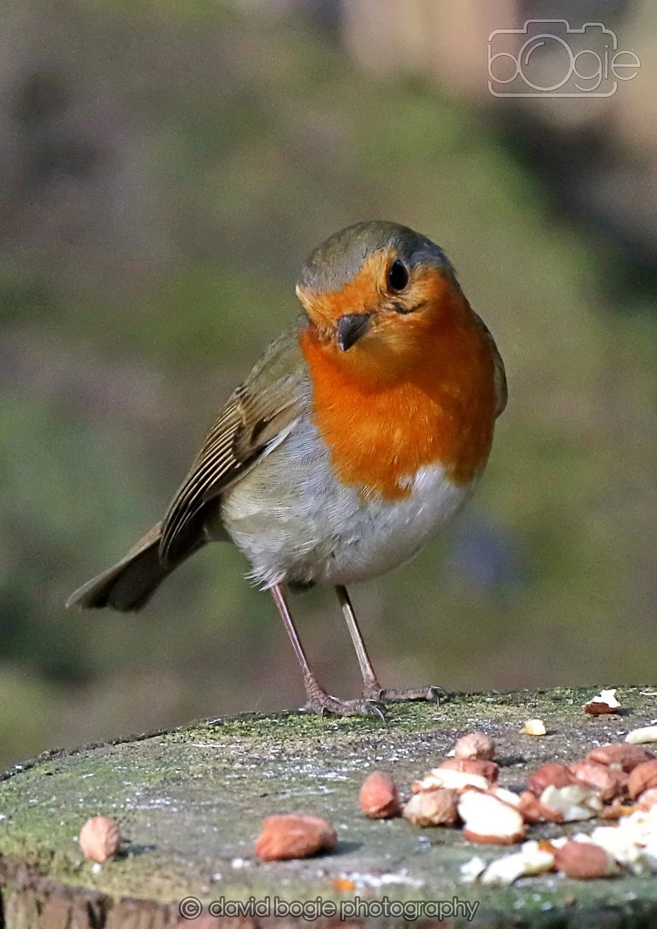 20260322 151639 Dunnikier 0326.jpg