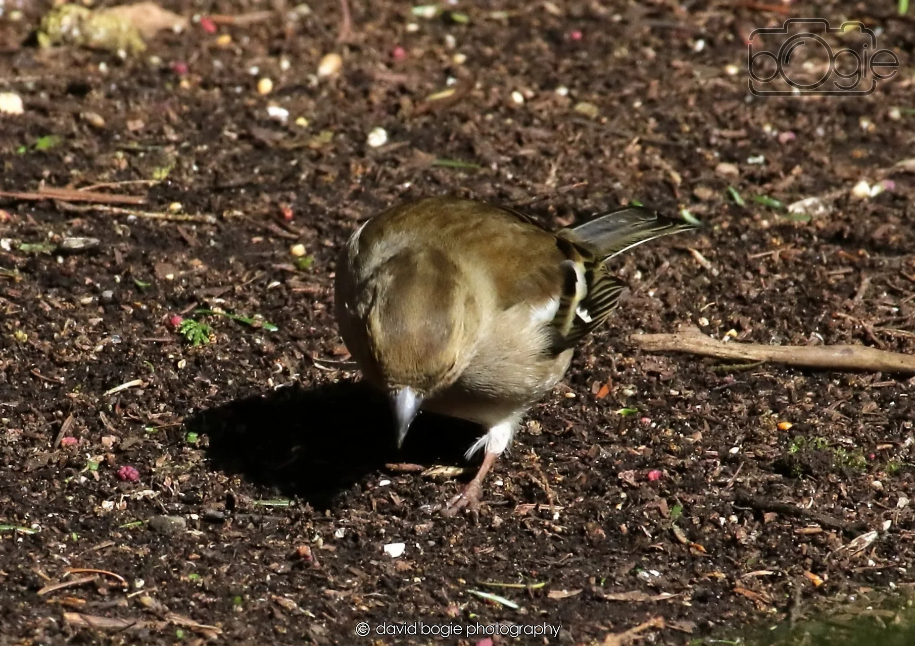 20260403 121409 Dunnikier 0073.jpg