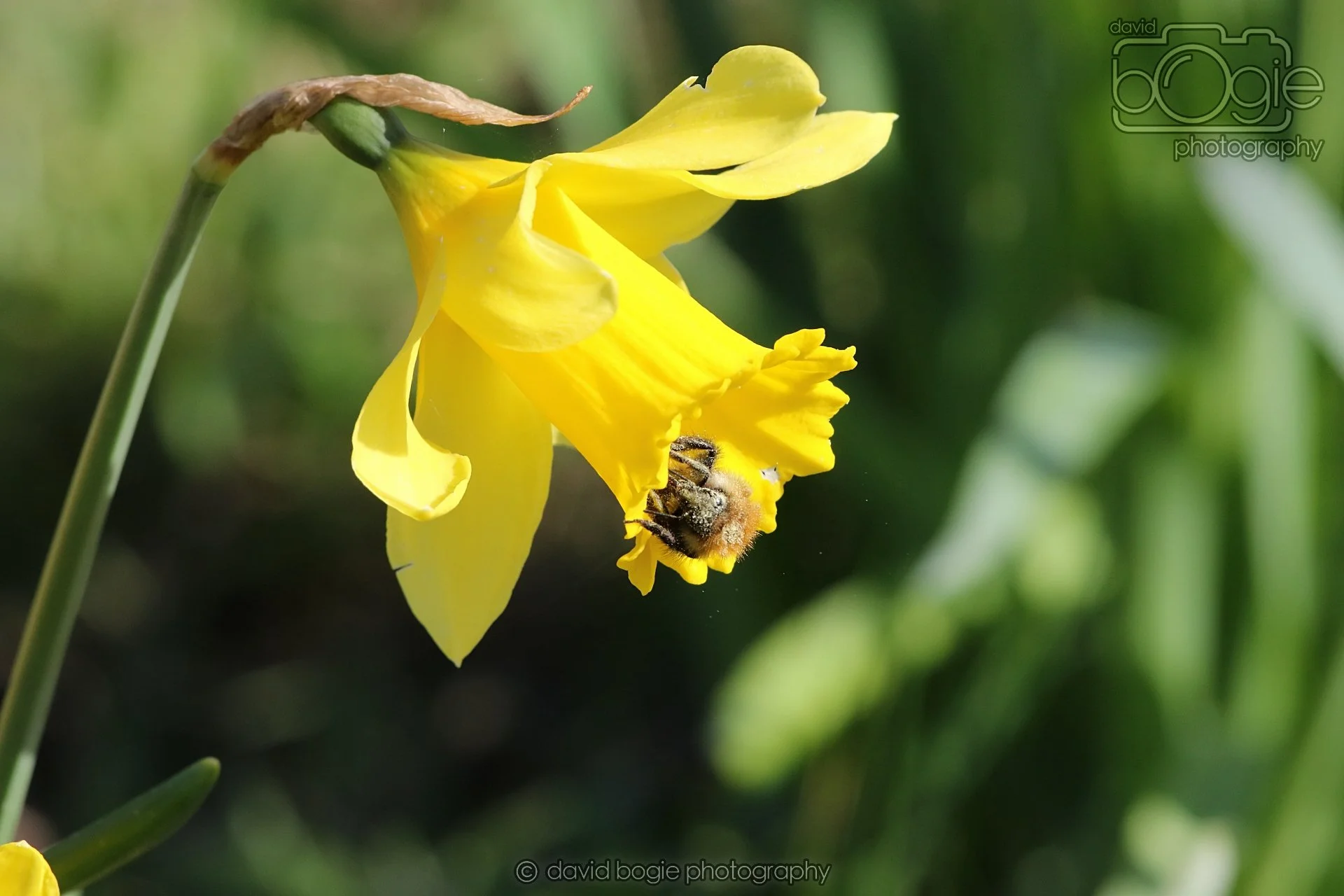 20260319 115349 Beveridge Park 0193.jpg