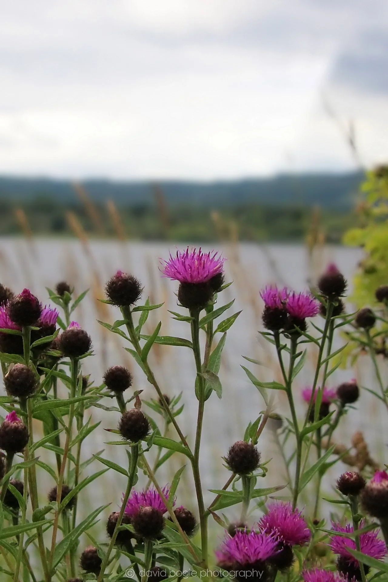 20210729 Lochore 6.jpg
