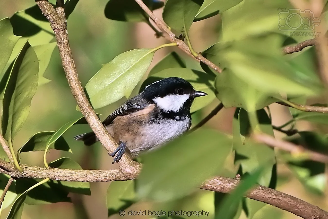 20260128 134726 Dunnikier 0291.jpg