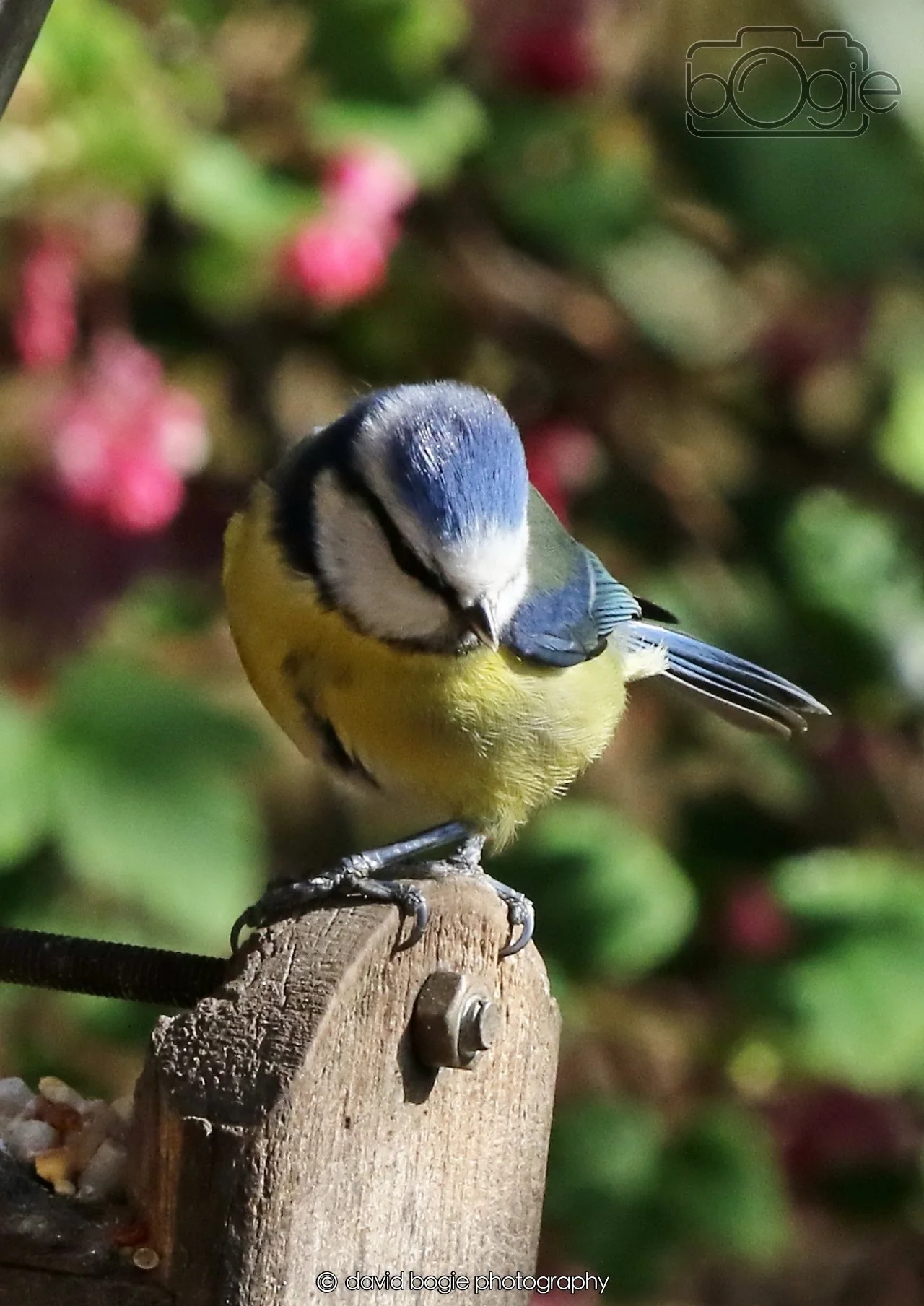 20260402 100810 Silverburn 0103.jpg