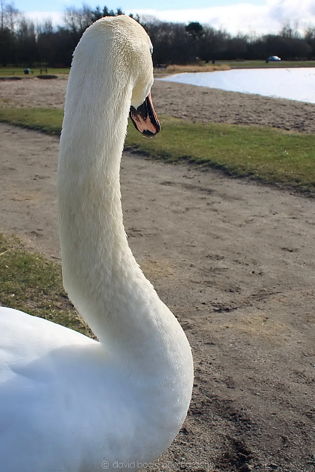 20190318 115329 Lochore 0002.jpg