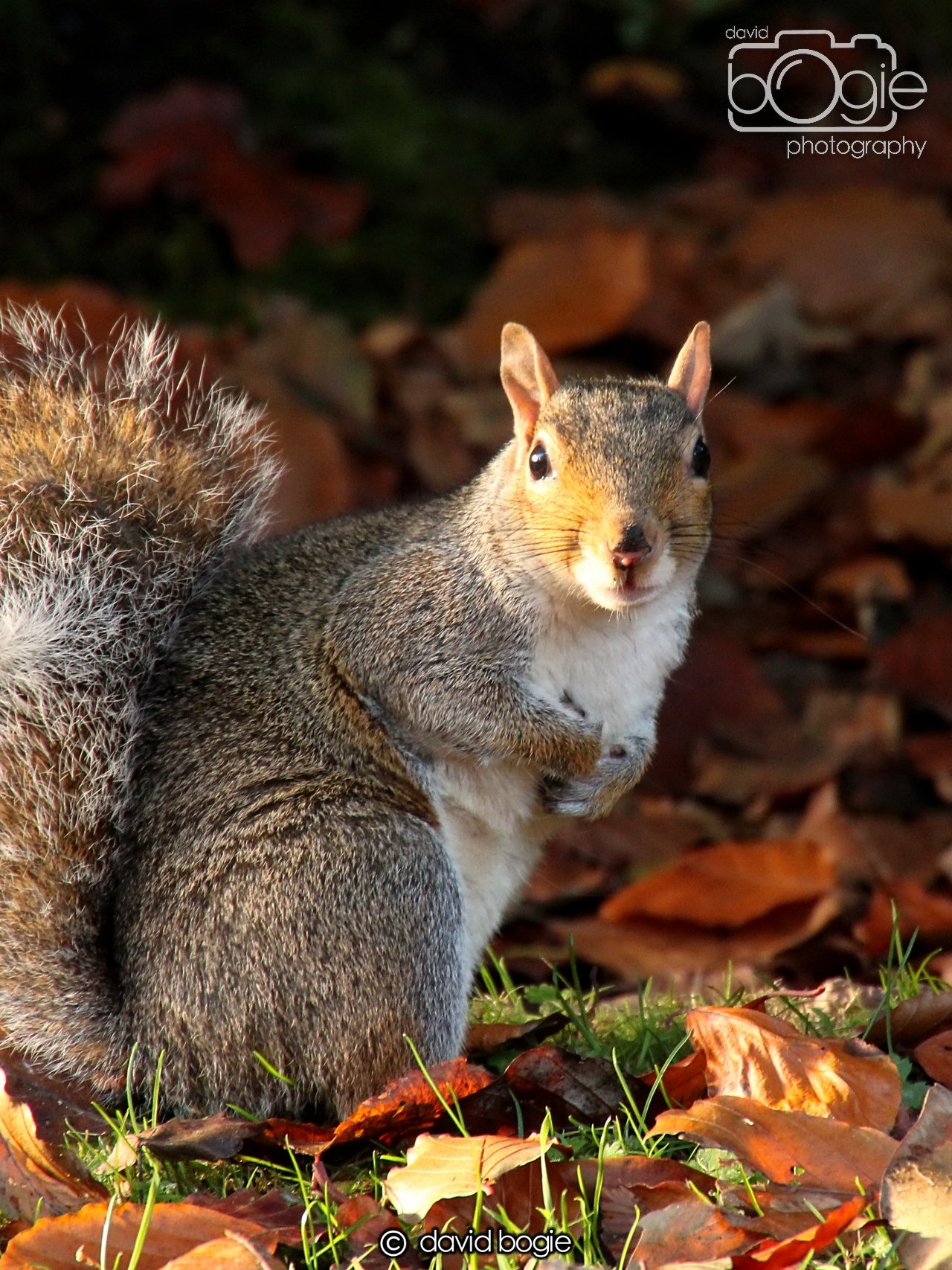 20231107 Beveridge Park 0297.jpg