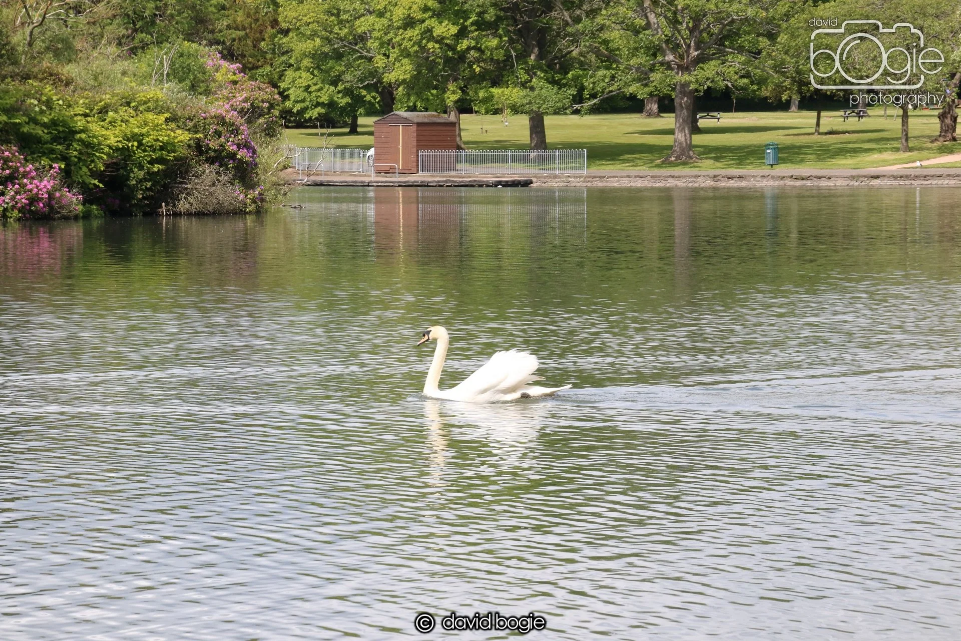 20250613 114327 Beveridge 0021.JPG