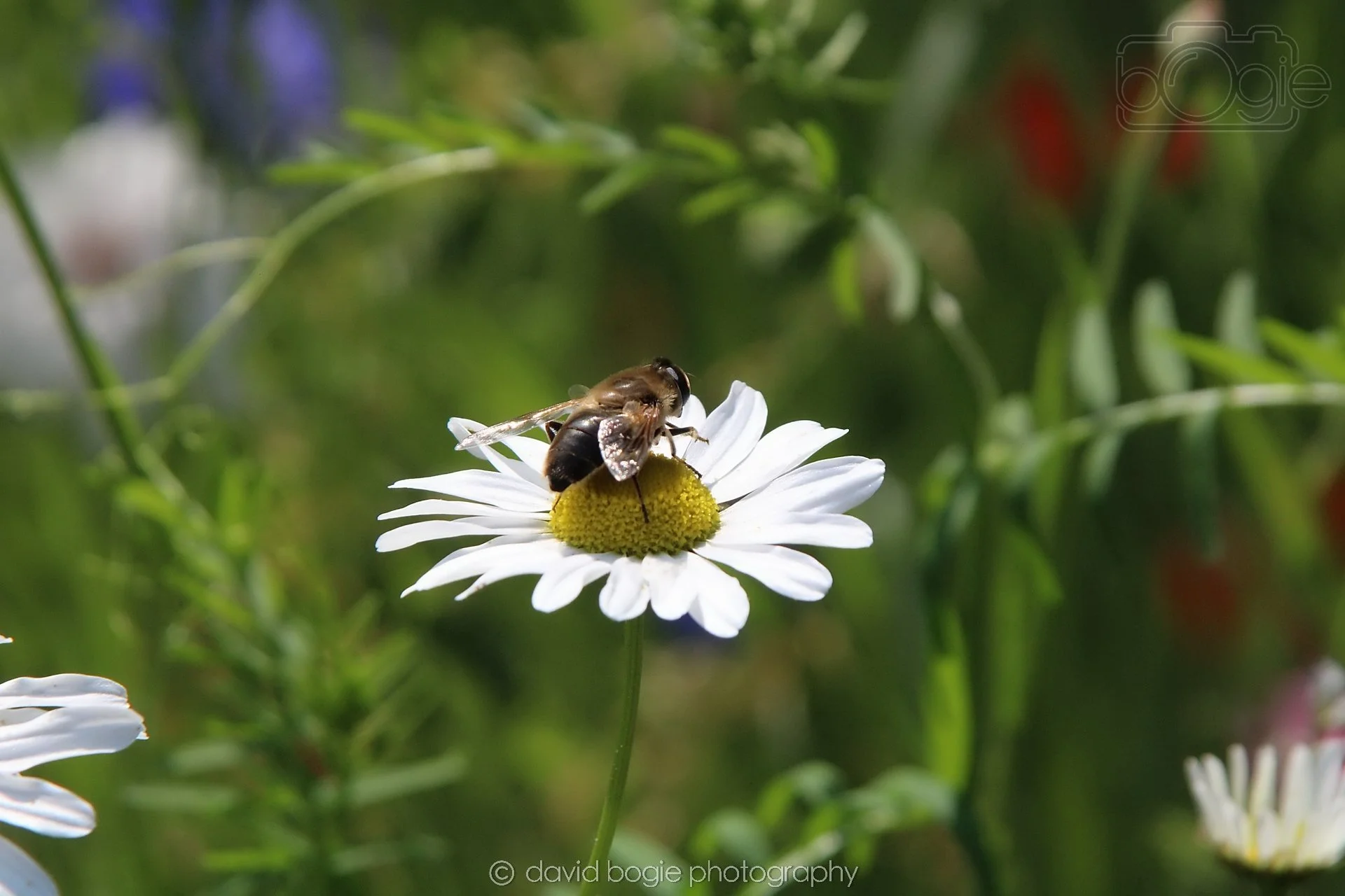20210727 Beveridge Park4 .jpg