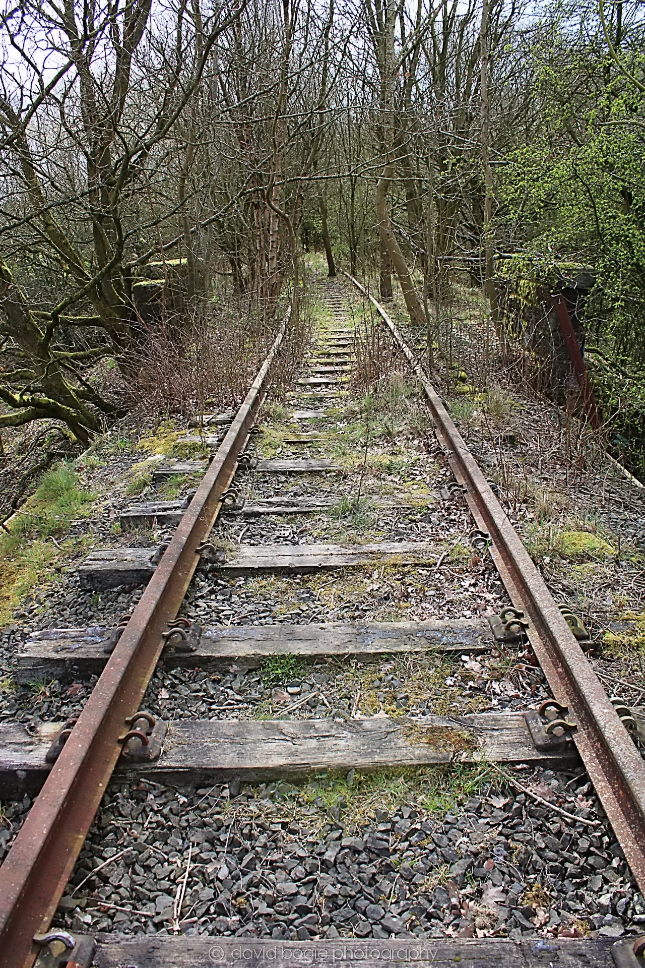 20190401 112042 Cardenden 0018.jpg