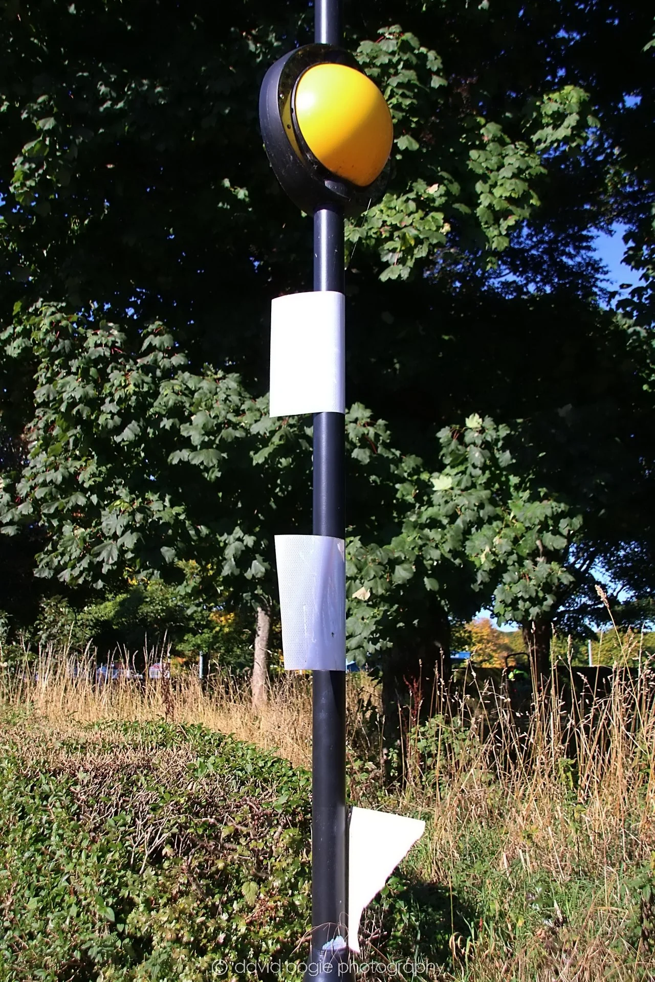 YEAR20240918 110052 Kirkcaldy 0076.jpg