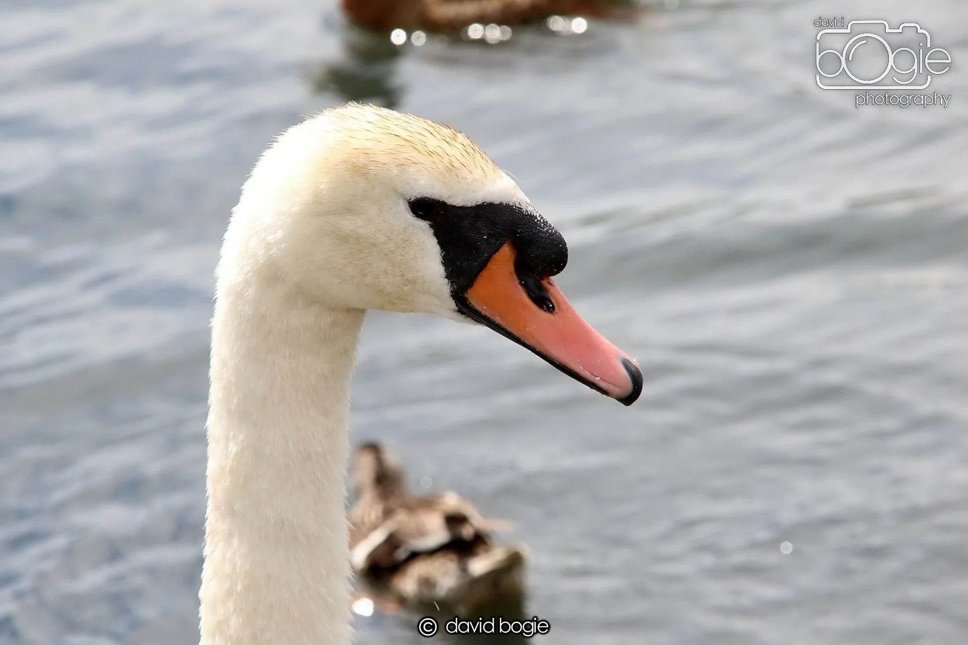 20250721 124856 Beveridge Park 0288.JPG